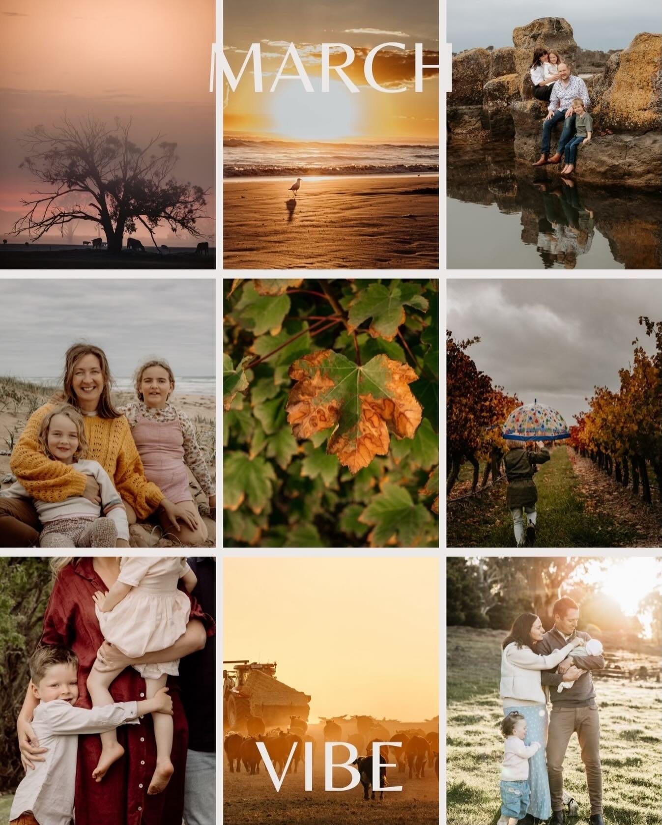 The seasons are turning and Autumn is well and truly on its way. As I look into my garden, there&rsquo;s dew on the lawn, the spider cobwebs are glistening on the fence in the morning sun and the yellowing leaves are falling from the trees. 

And you