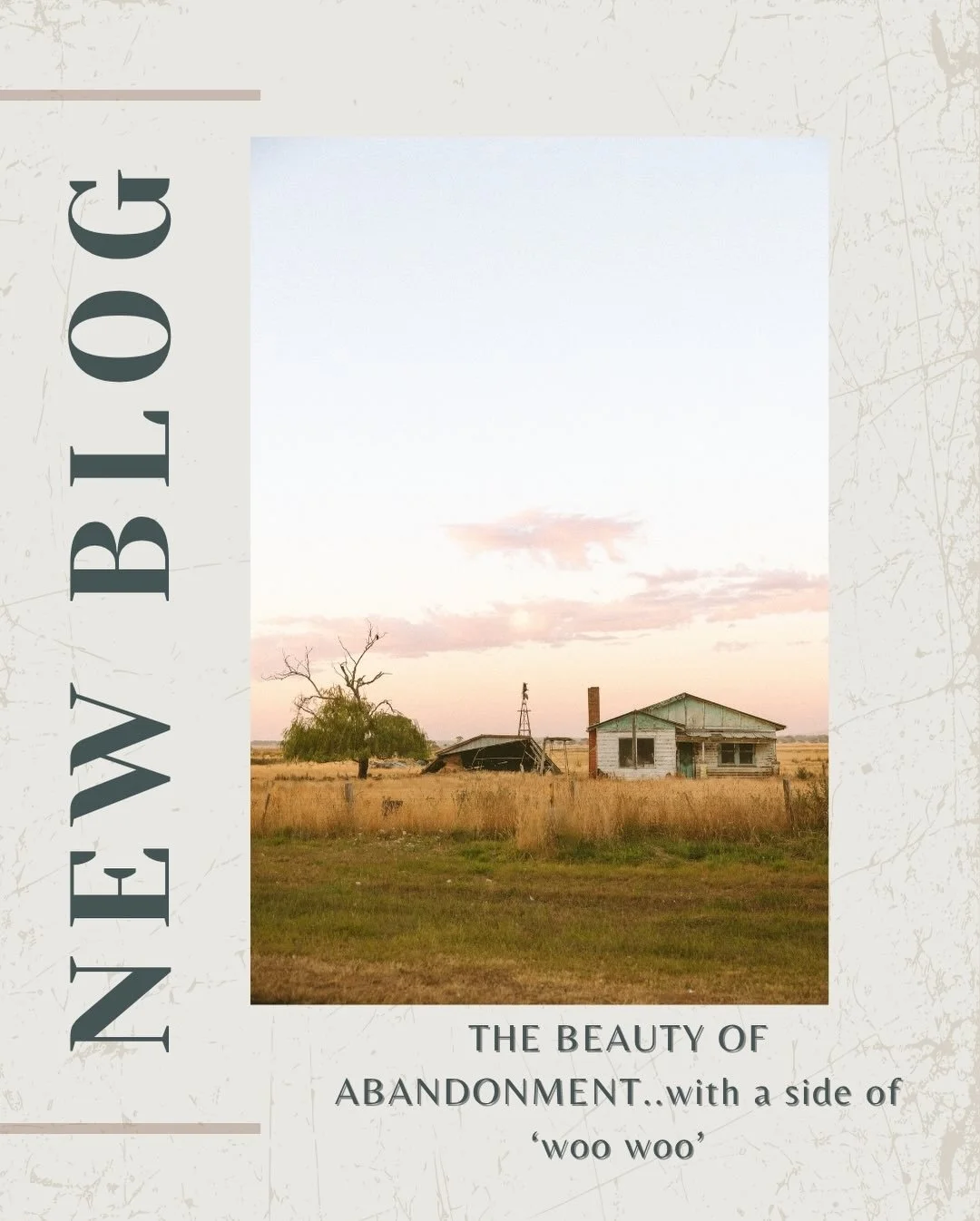 ✨ NEW BLOG ✨

Welcome to a new instalment on MY CORNER OF THE PADDOCK blog. A place where I share musings about the things I see through my lens. 

I was driving home from a session the other evening and I passed by this abandoned house in a paddock.