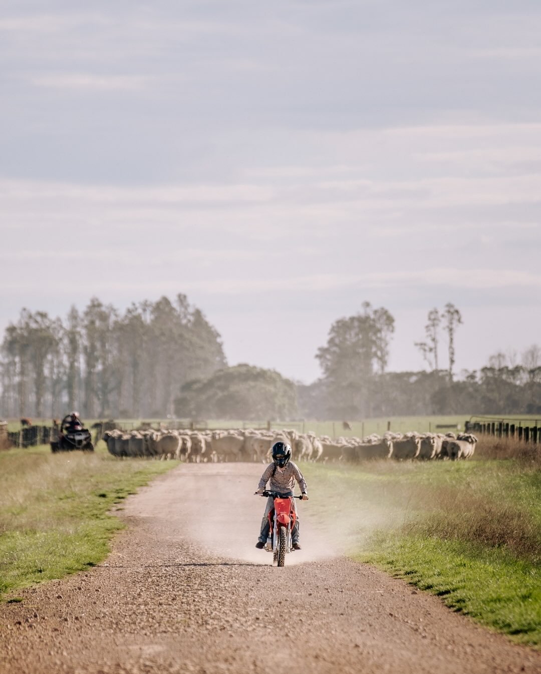 Little Mate gets the grid today. Doing the tough stuff with @rb_sellars and @hondaaustralia 

Boys and motorbikes, is there a more perfect match made in heaven?

Very proud of my little farm boy, helping mum and dad with the work. Teamwork really doe