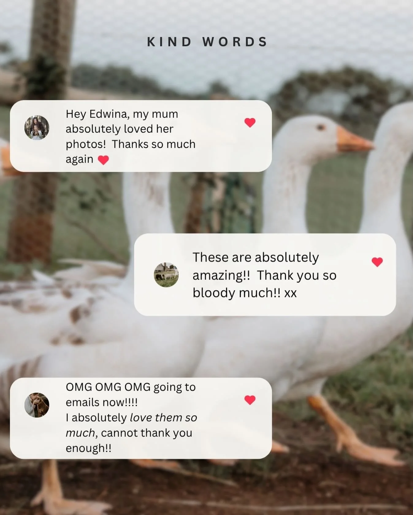 Just a few cute DMs I&rsquo;ve received lately. 

The anticipation of receiving a gallery of images, the excitement we feel when we see our photos for the first time and the often emotional response we have to them, means that photos are not just pho