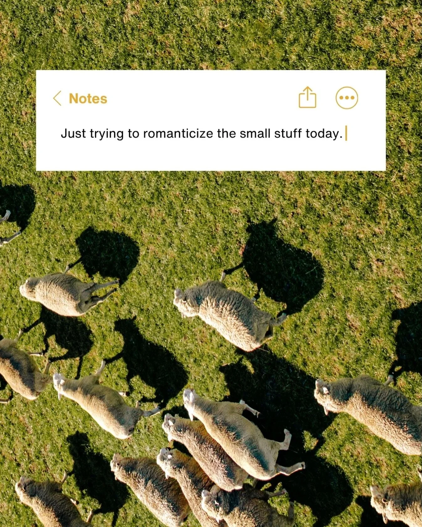 &ldquo;In photography, there are no shadows that cannot be illuminated.&rdquo; August Sander

Always look for the shadows and the way that light can play and dance through an image.