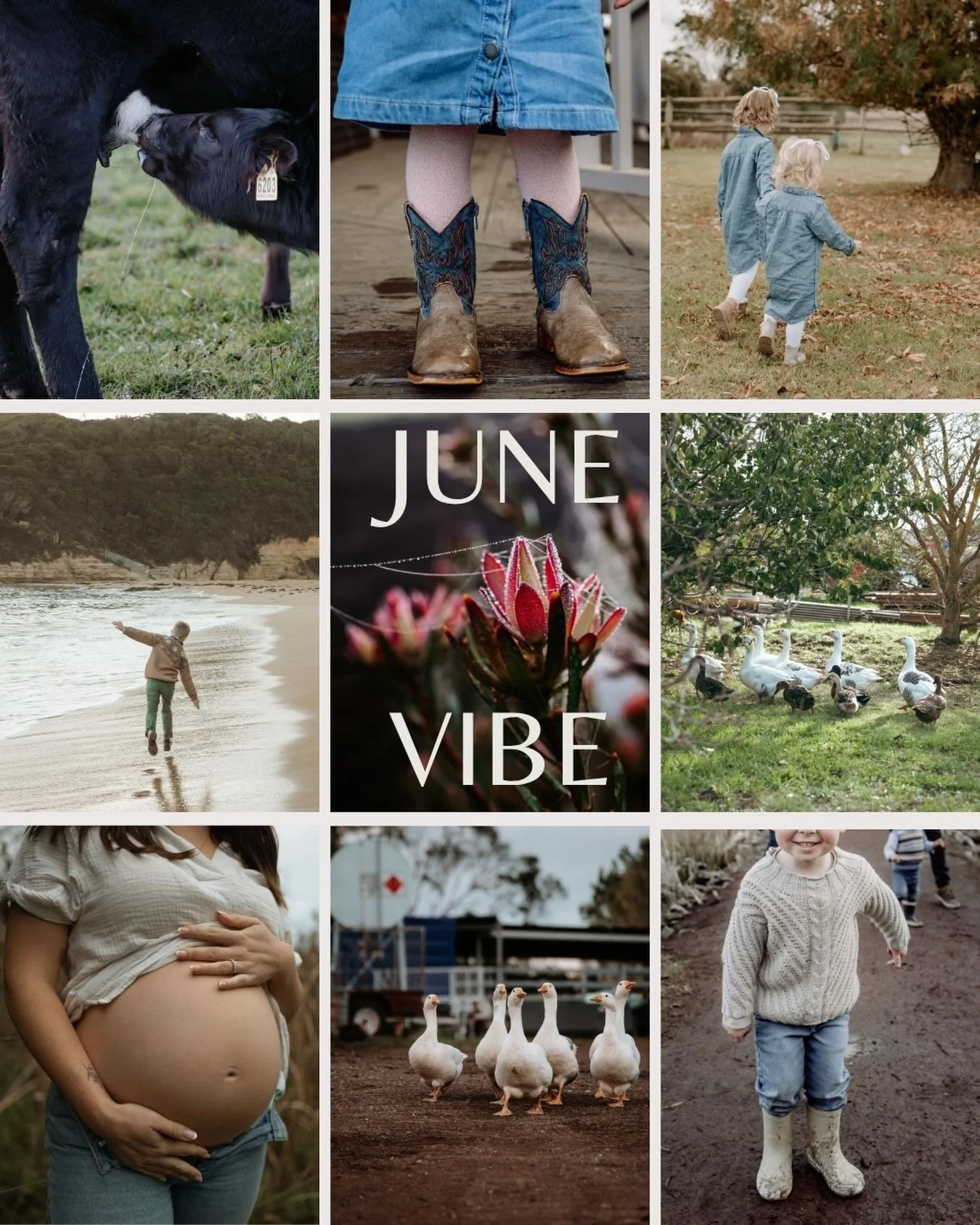 Winter has hit us with a vengeance this week and honestly, the farmer in me is not sad about it!  It&rsquo;s been about 3 years since we&rsquo;ve had a decent winter and it feels like the seasons are finally righting themselves again. 

Looking in th