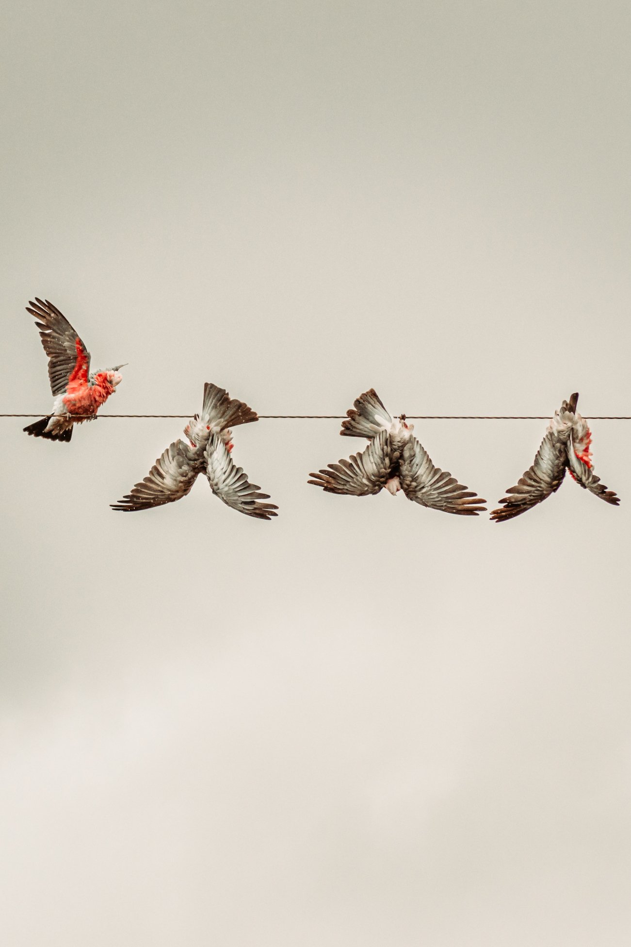 Hanging Around 1.jpg