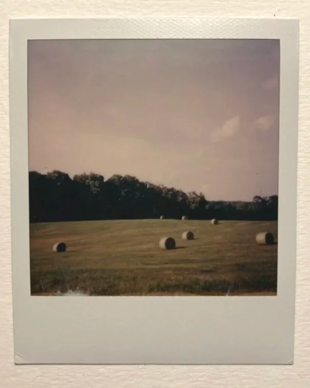 A polaroid of a field with hay bales.