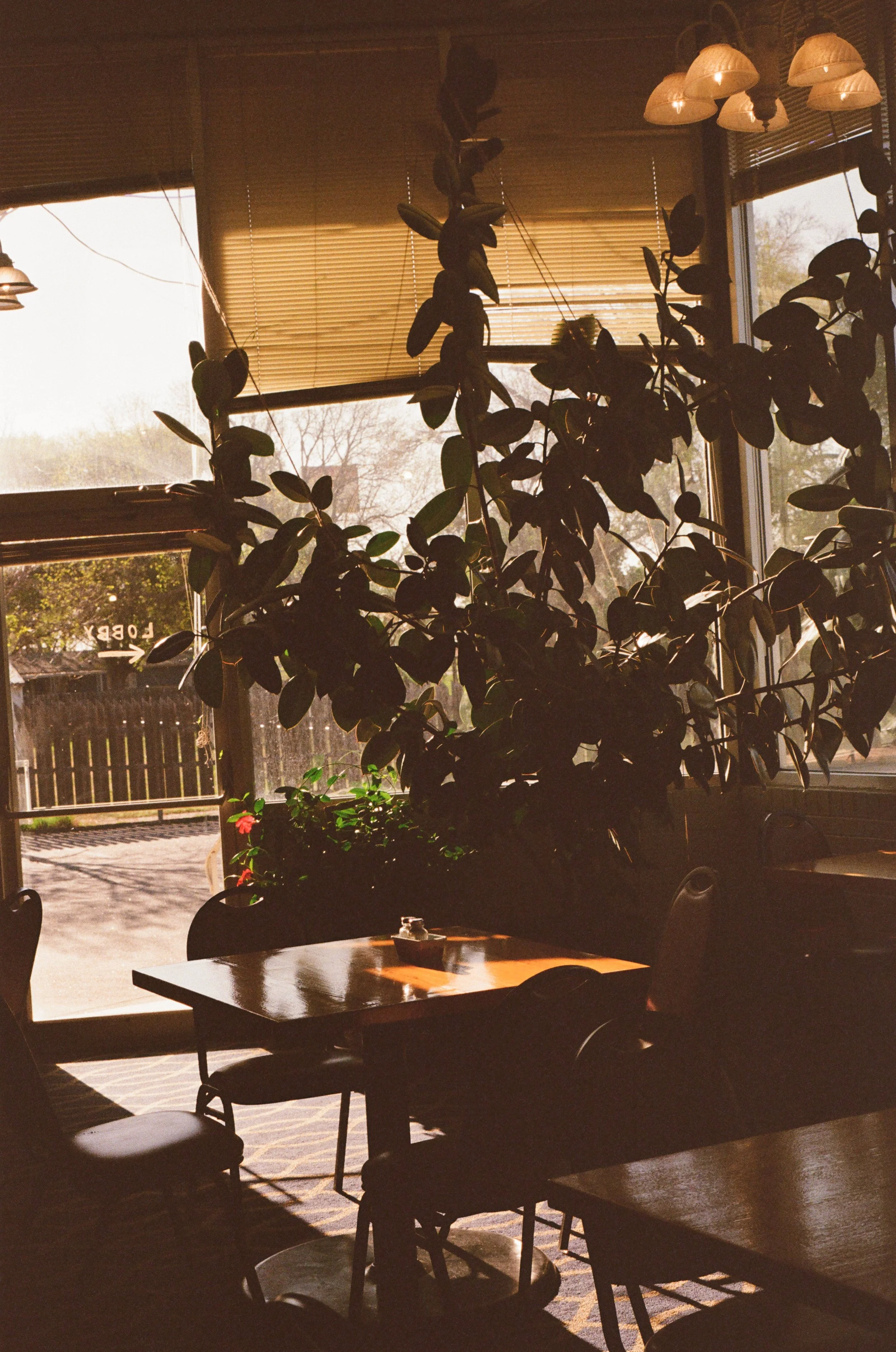 fujifilm_400_c_41_40902_139785_311787_000012410014.jpeg