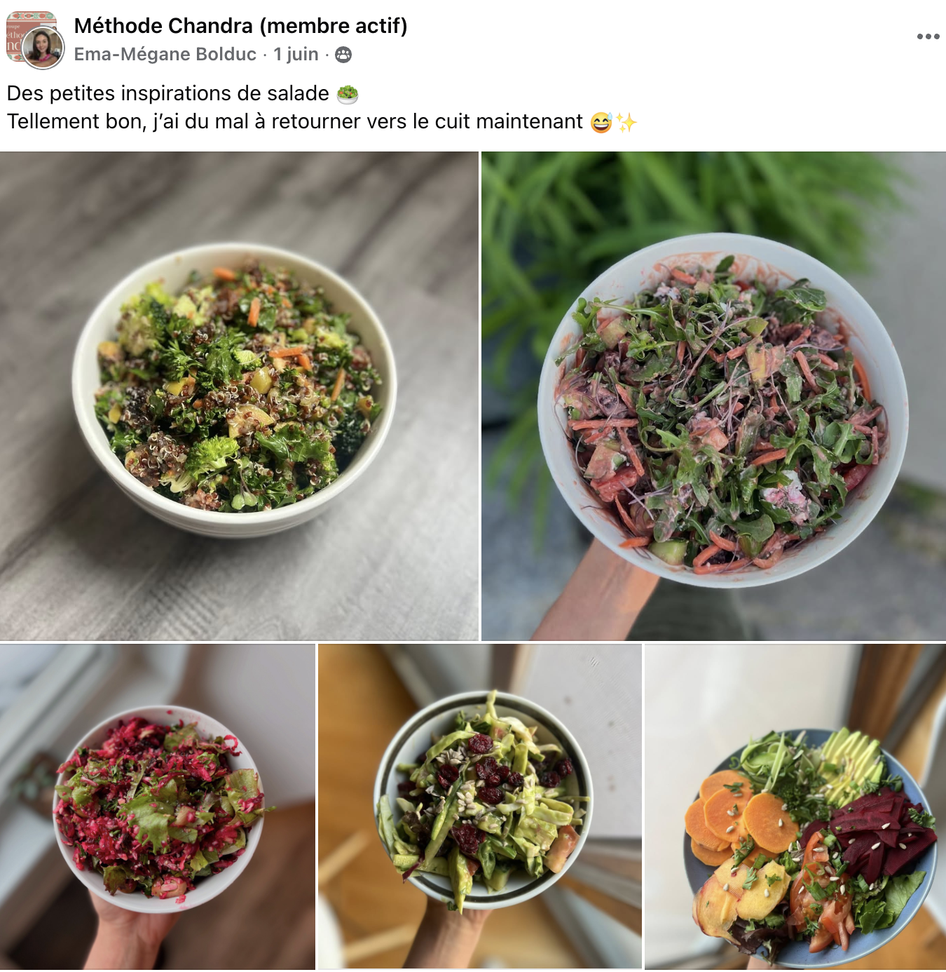 Cinq salades colorées dans des bols, contenant divers légumes frais comme feuilles vertes, carottes, betteraves, céleri et autres, préparées comme inspirations de salades.