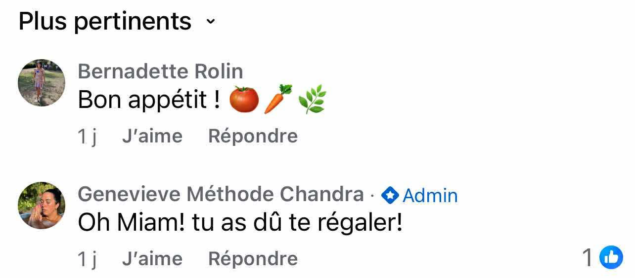 Capture d'écran d'une conversation en ligne avec des commentaires en français, mentionnant des aliments et une réaction positive.