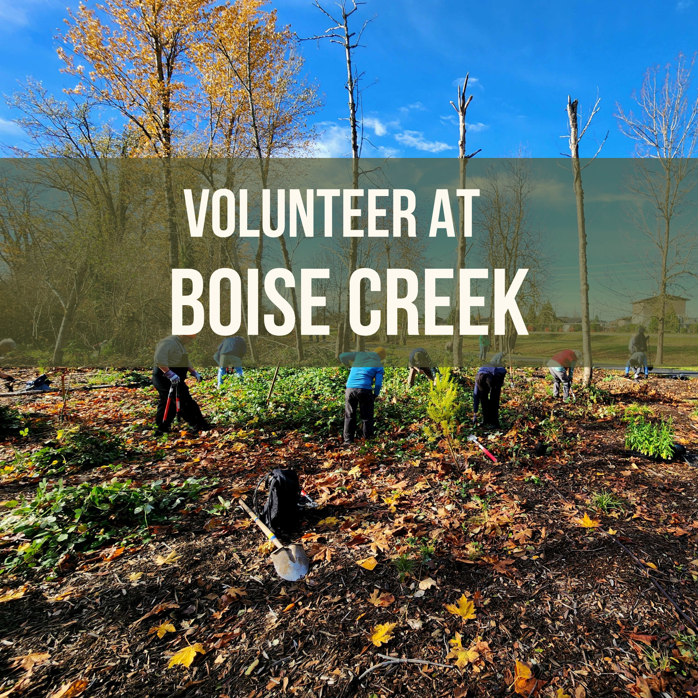 Volunteer Event at Boise Creek