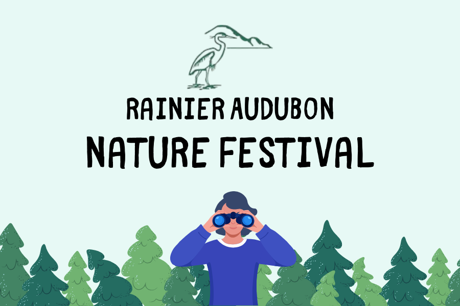 Nature Festival