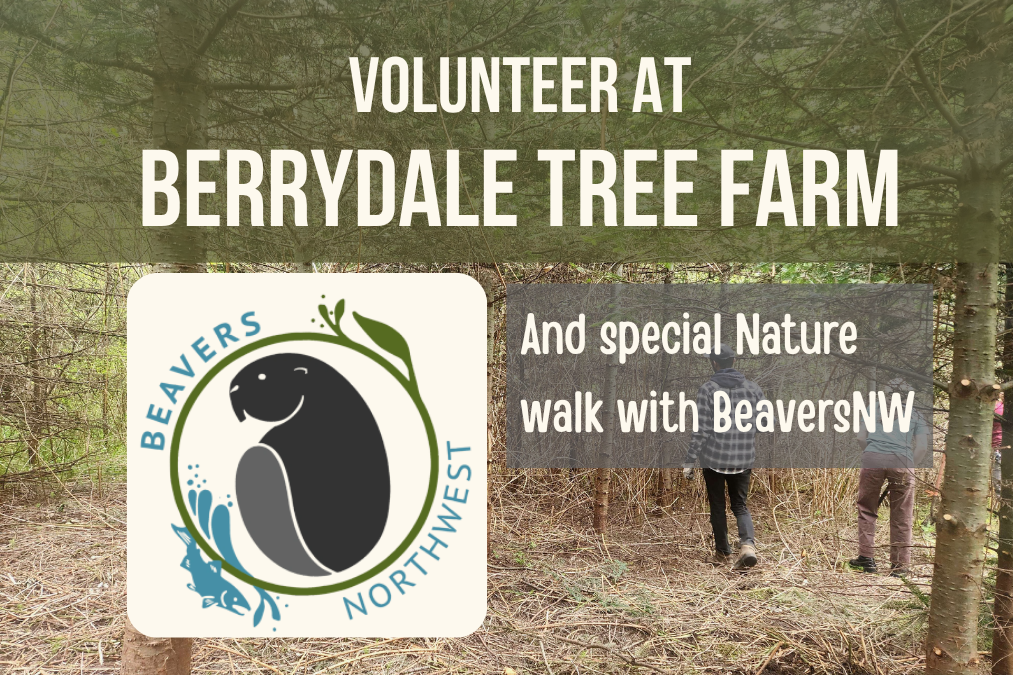 Volunteer Event and Special Nature Walk with BeaversNW!