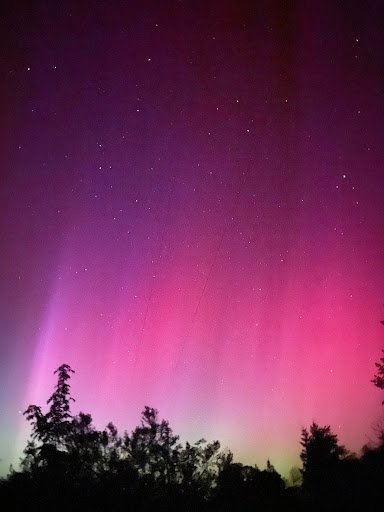 mmf-aurora-3.jpeg