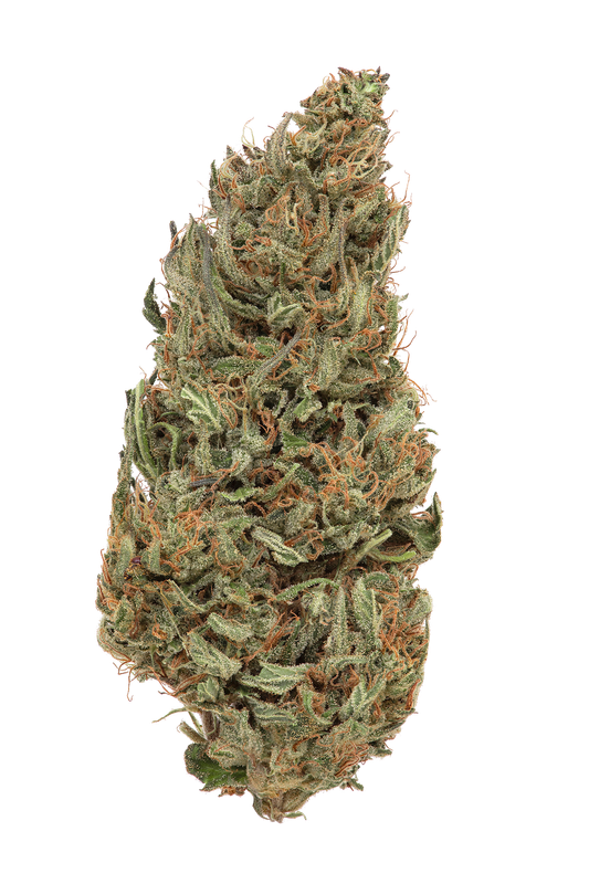 Zkittlez hybrid flower bud