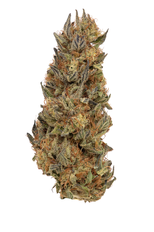 Dulce De Papaya indica flower bud