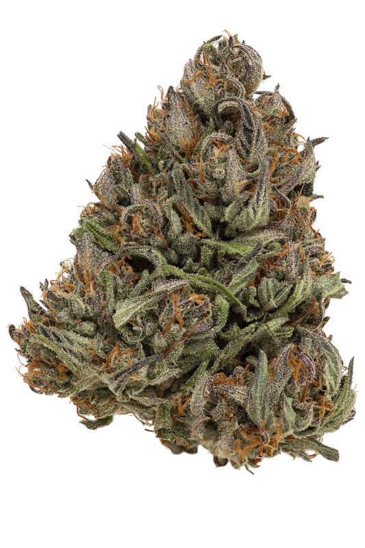 The Hive sativa flower bud