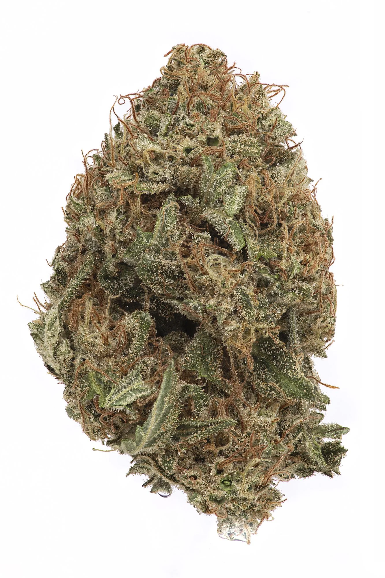 Red Lemons - Indica - Sativa by Moon Made Farms