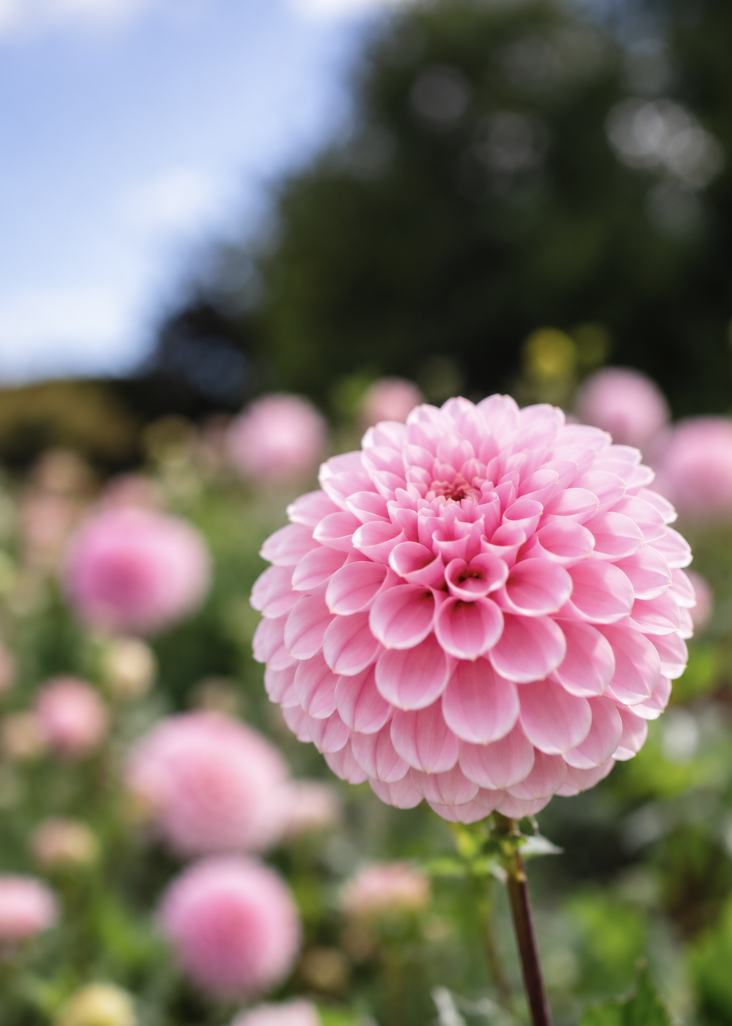 Screen Shot 2026-09-18 at 8.03.11 PM.png
