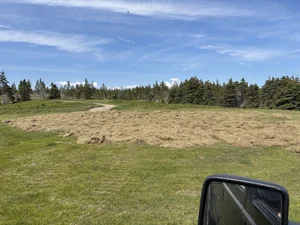 Foresite Nova Inc photo 7