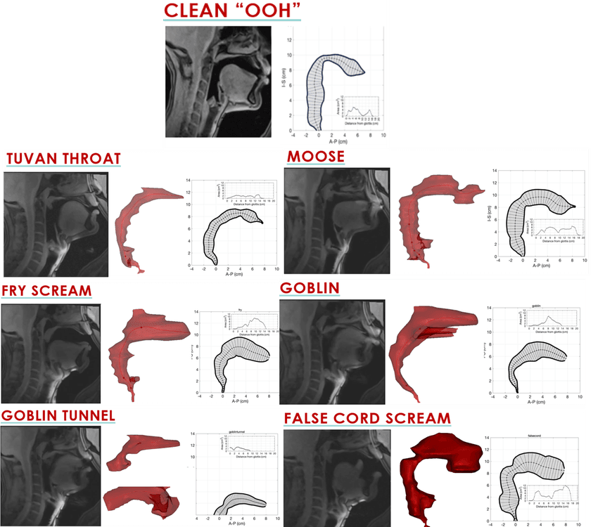 3d-vocal-tract-with-clean-m.png