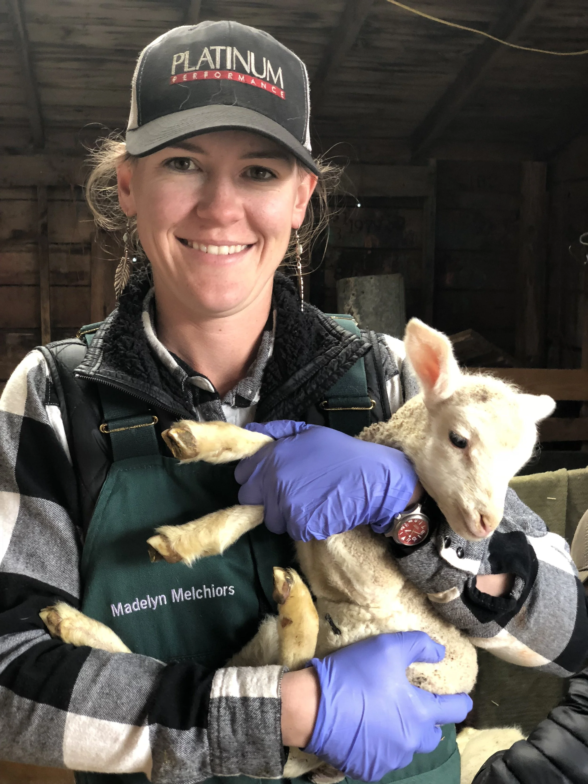Veterinarian smiling while holding a baby lamb inside a barn. She is wearing a black and white plaid shirt, a dark vest, a black cap with the words 'PLATINUM PERFORMANCE,' and purple gloves.