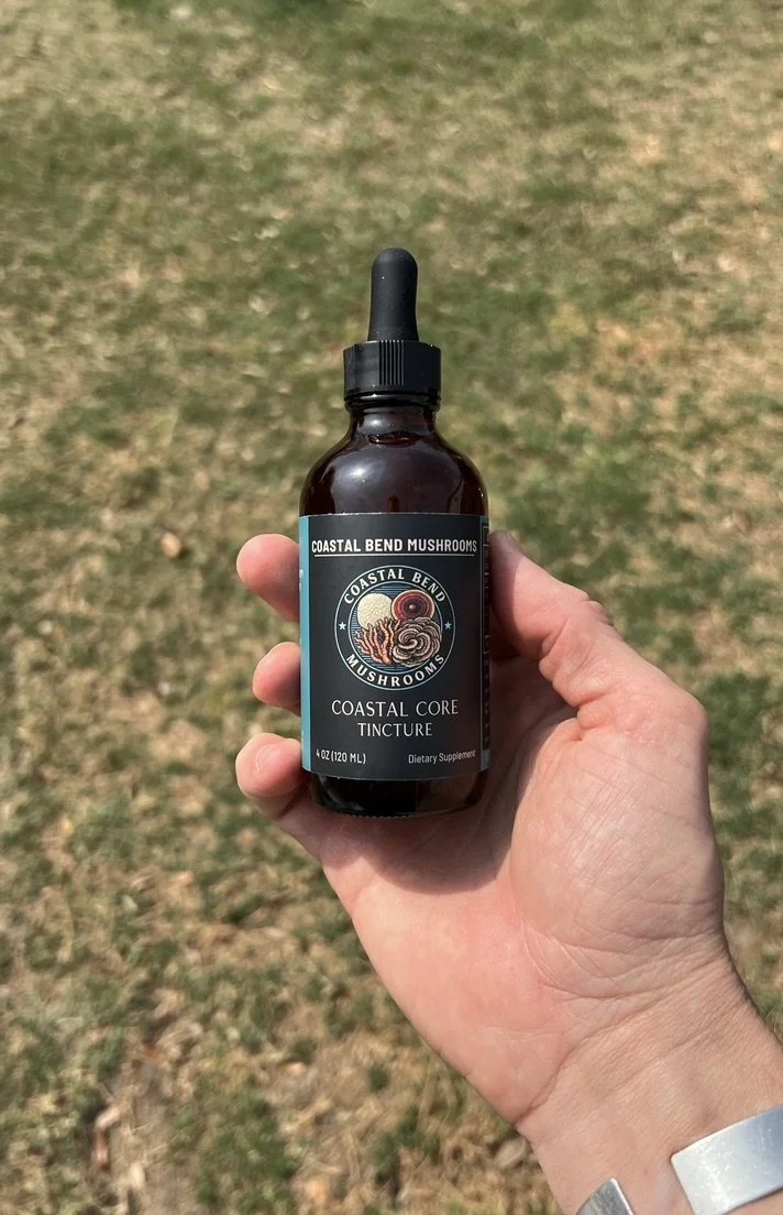 Why Functional Mushroom Quality Standards Matter More Than Ever in 2026