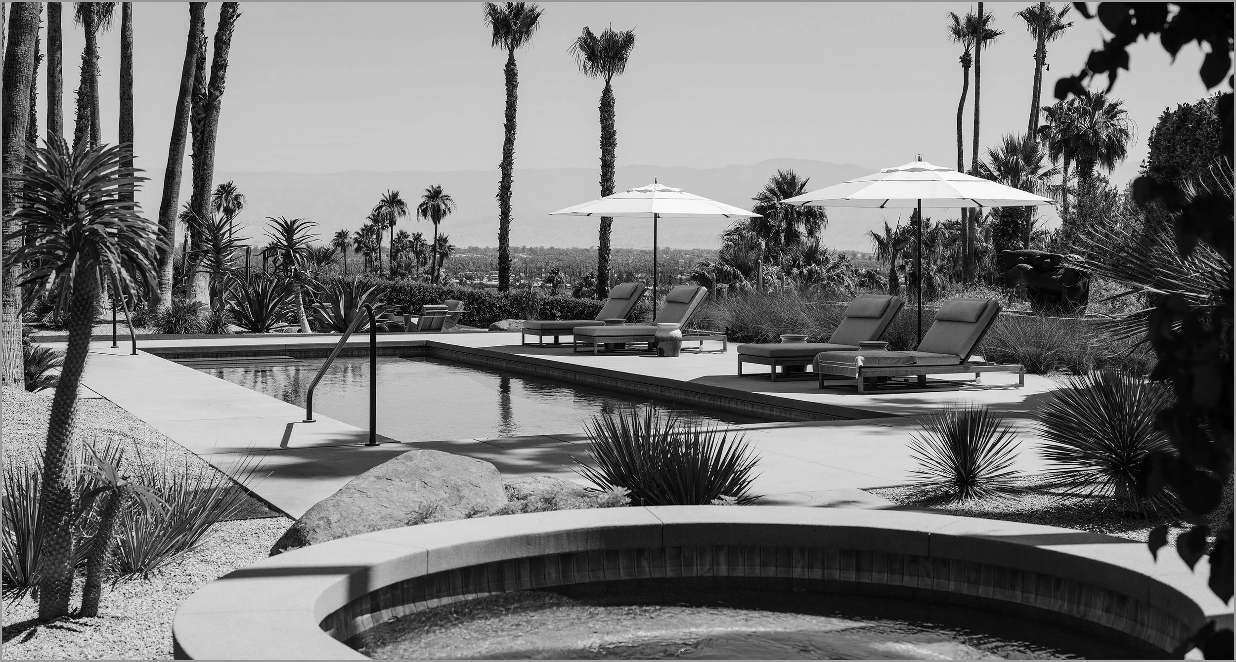 21 ACD Homepage Rejuvenated Poolside bw.jpg