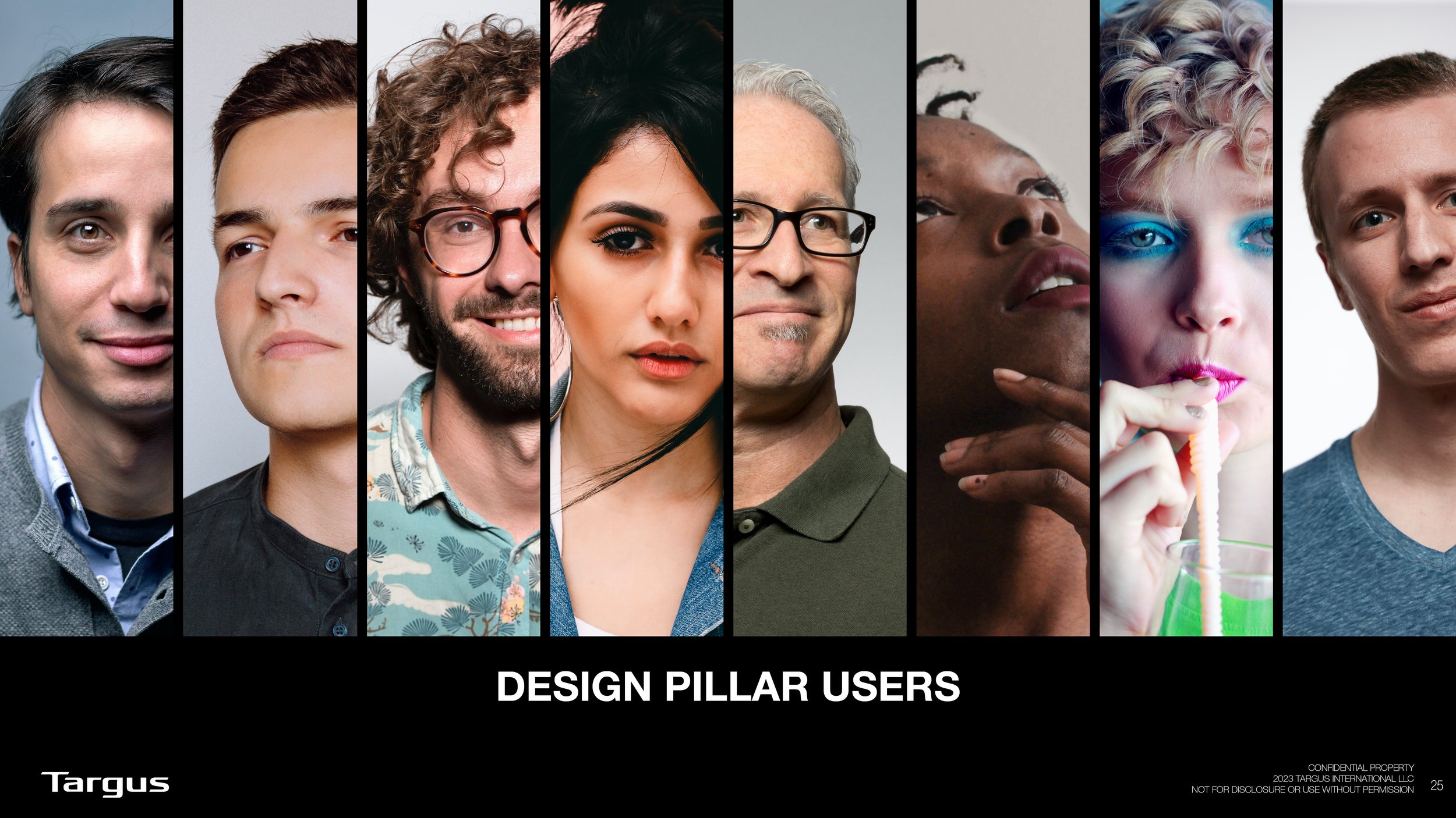 consumer pillars HC-TS redesign V15 20241218 CONDENSED25.jpg