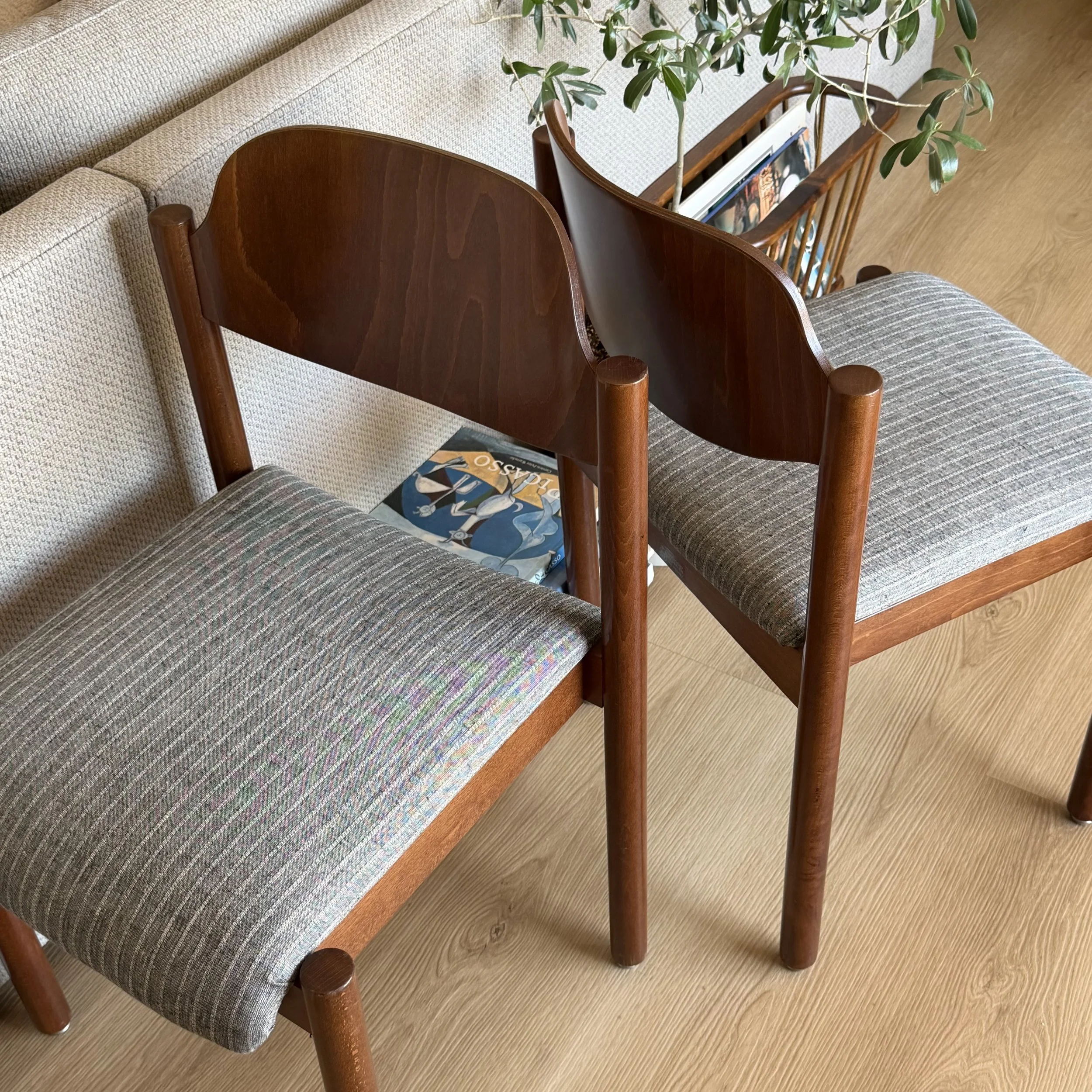 View of a wooden and upholstered chair, a magazine on the floor, a plant, and a beige sofa with textured fabric in a living room.