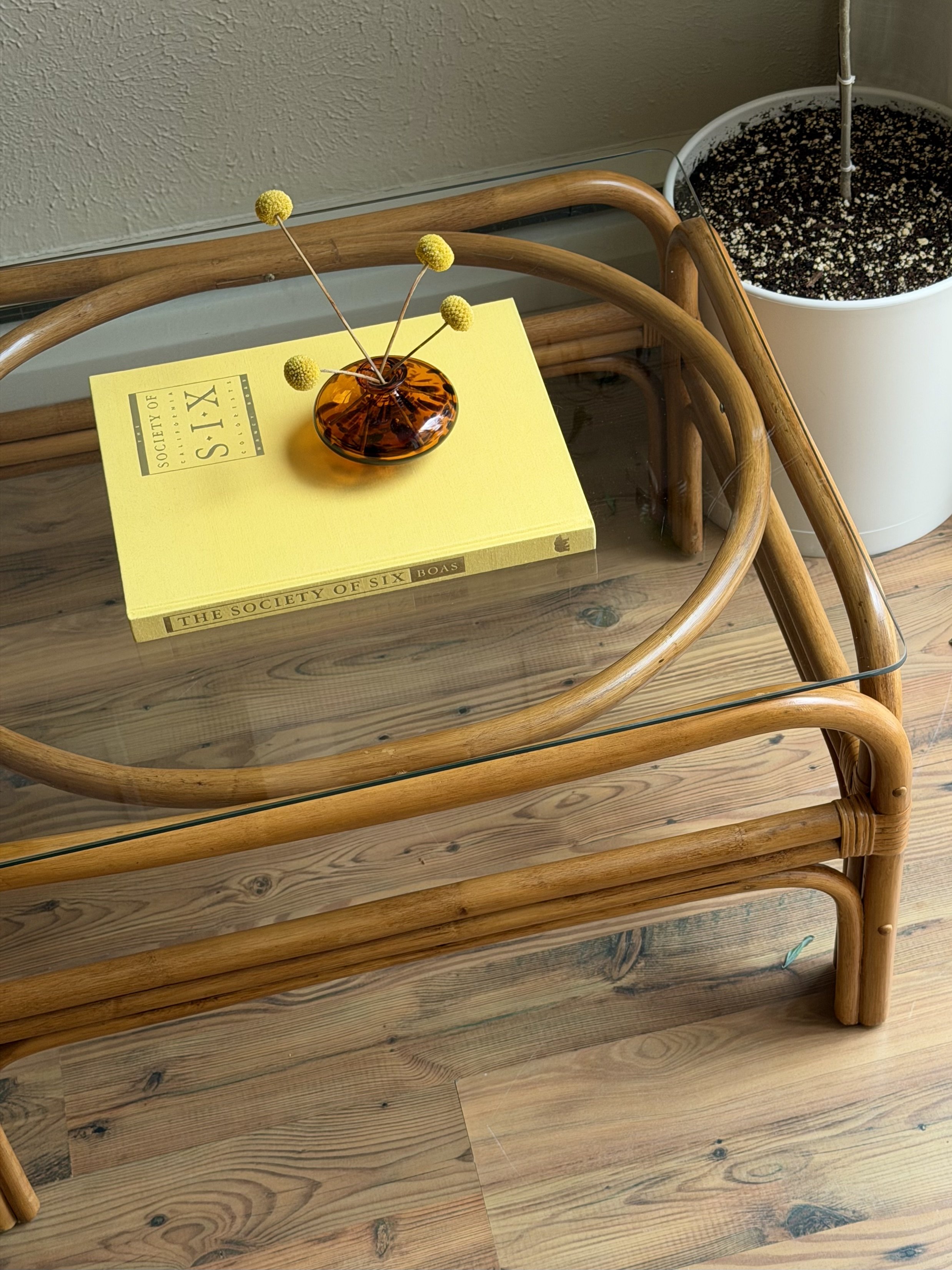 A glass table with a yellow book titled 'The Society of Six' on top, a small amber glass vase with yellow Billy button flowers, and a large white planter with a small tree, set on a wooden floor.