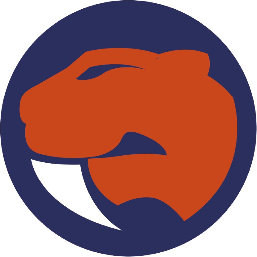 Southern Sabres