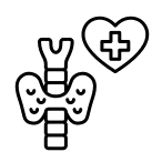 Autoimmune support at Empirical Medicine in Glendale, AZ with Chinese Medicine