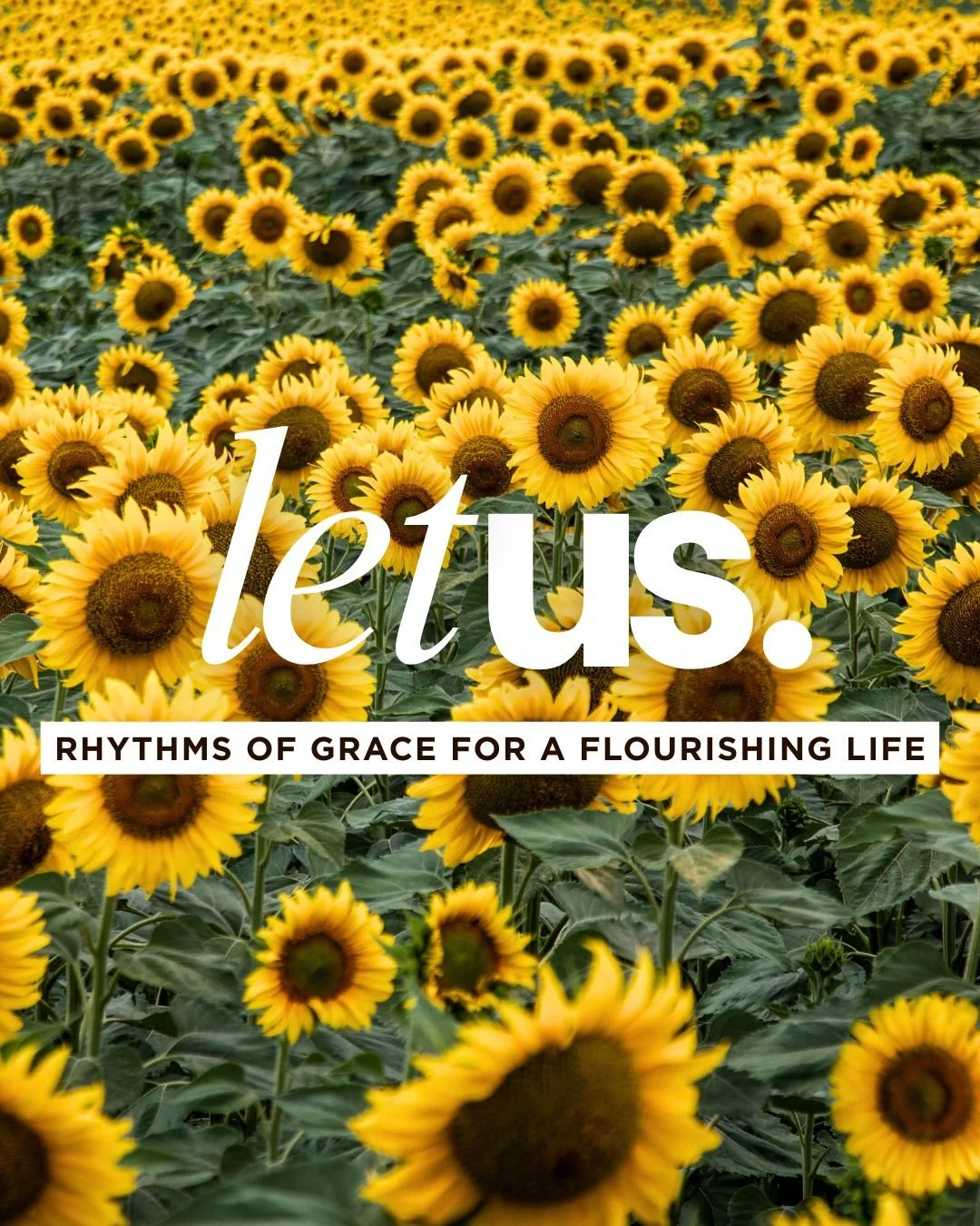 🌱 NEW TEACHING SERIES 🌱

LET US.
Rhythms of Grace for a Flourishing Life

As one year closes and another begins, many of us feel that familiar mix of gratitude, tiredness, hope, and an important question underneath it all&hellip; how do I live well