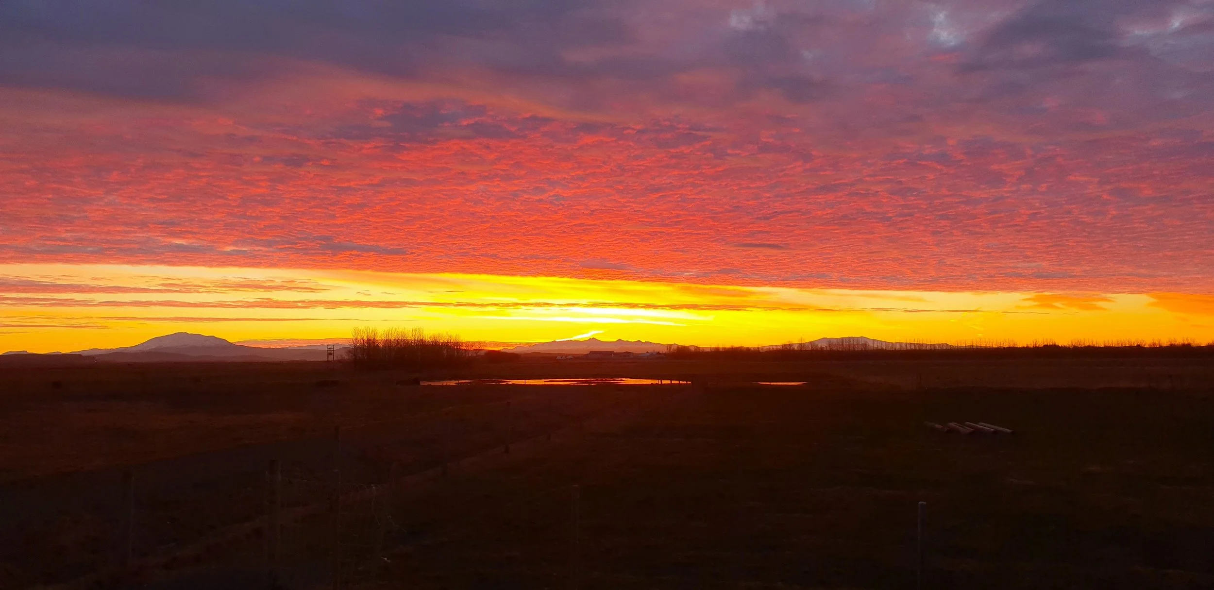 Beautiful photo Iceland, sunset in Iceland, Northern Lights Iceland, Golden circle Gullfoss Geysir Þingvellir Vorsabær 2 accommodation horseback riding farm visit