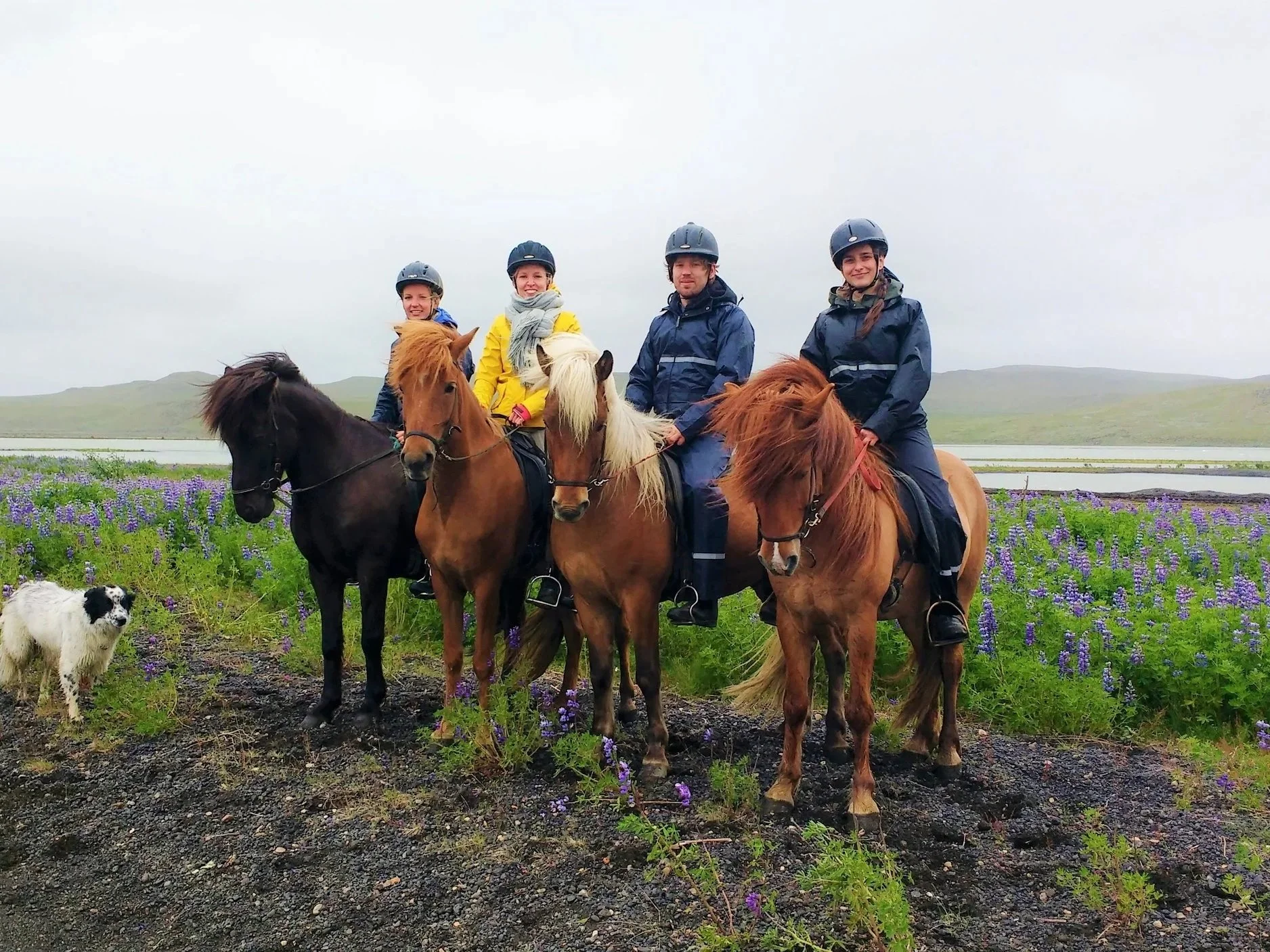 Small-Group 2-Hour Horseback Riding Tour