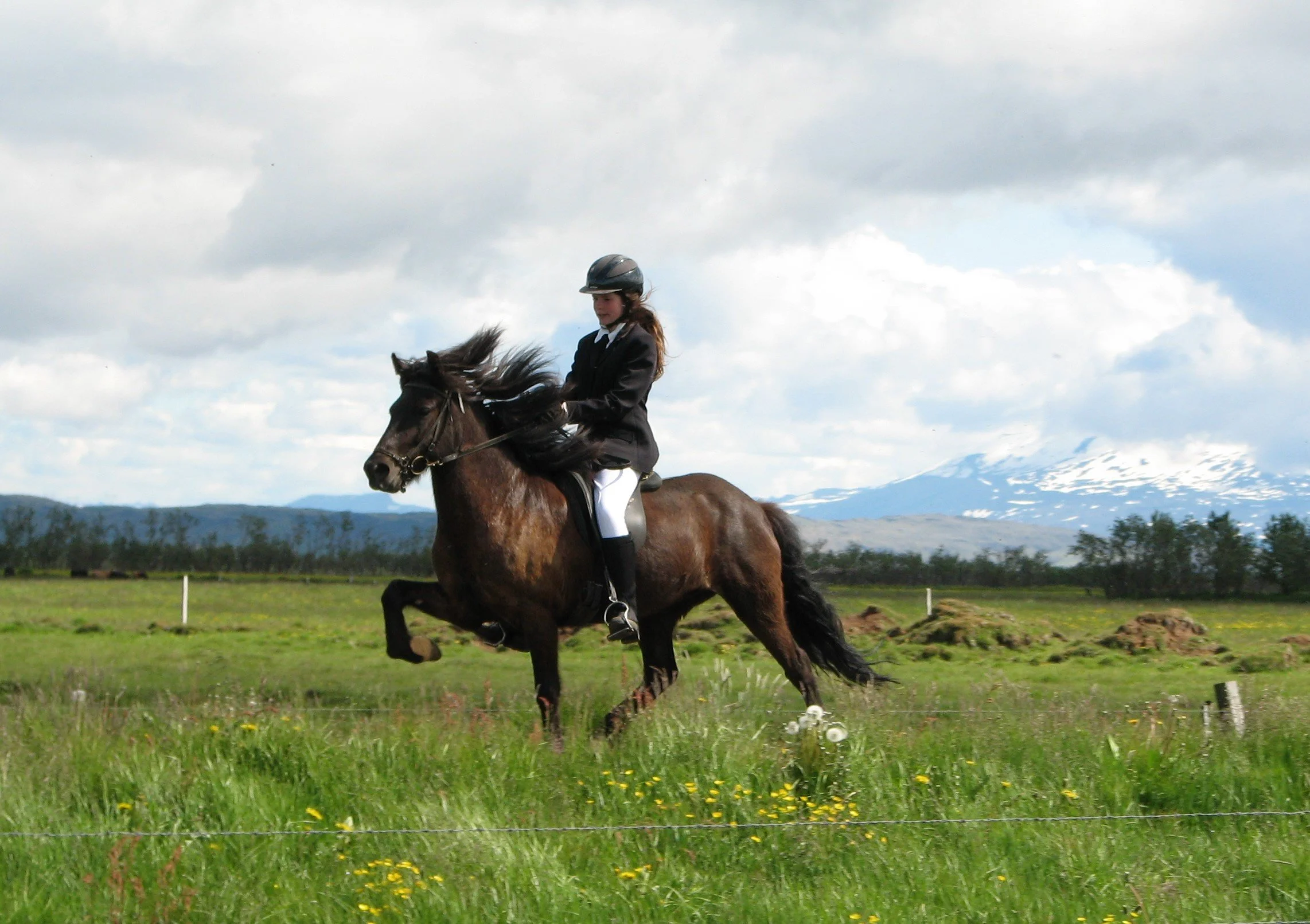 Evíta frá Vorsabæ II (8,15)