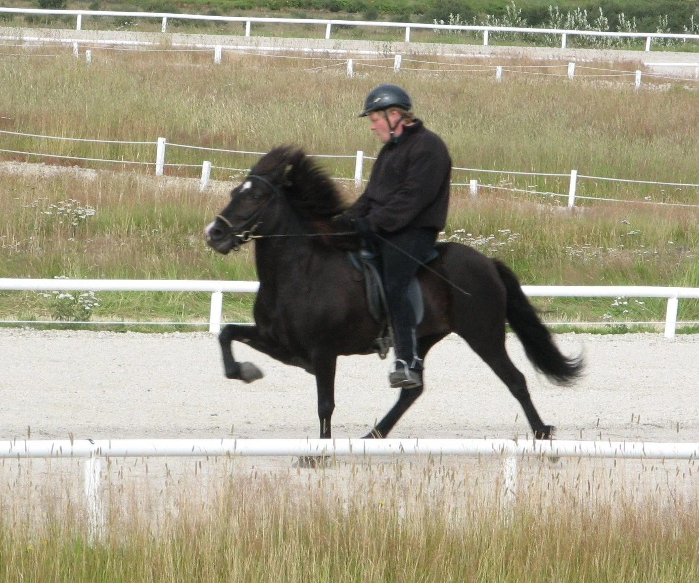 Nös frá Vorsabæ II (7,79) (DECEASED)