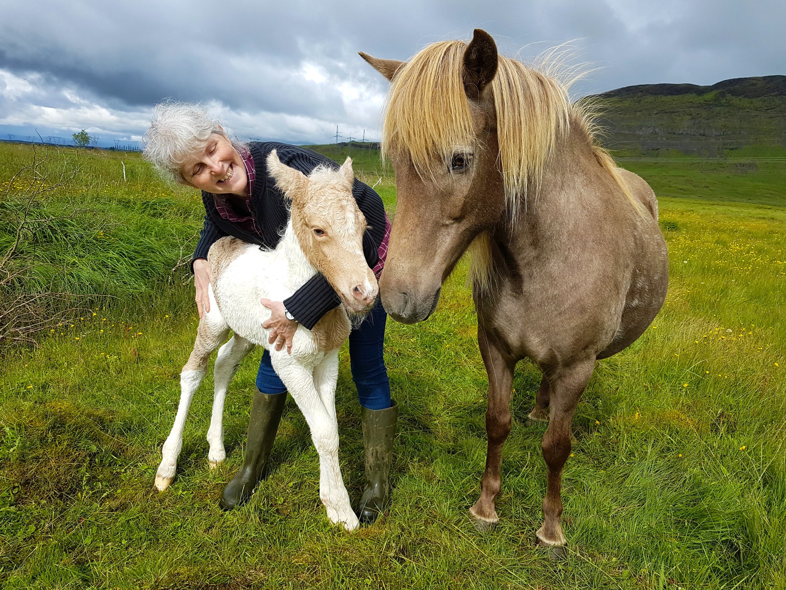 Tíska frá Vorsabæ II (DECEASED)