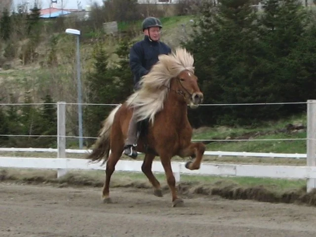 Píla frá Vorsabæ II