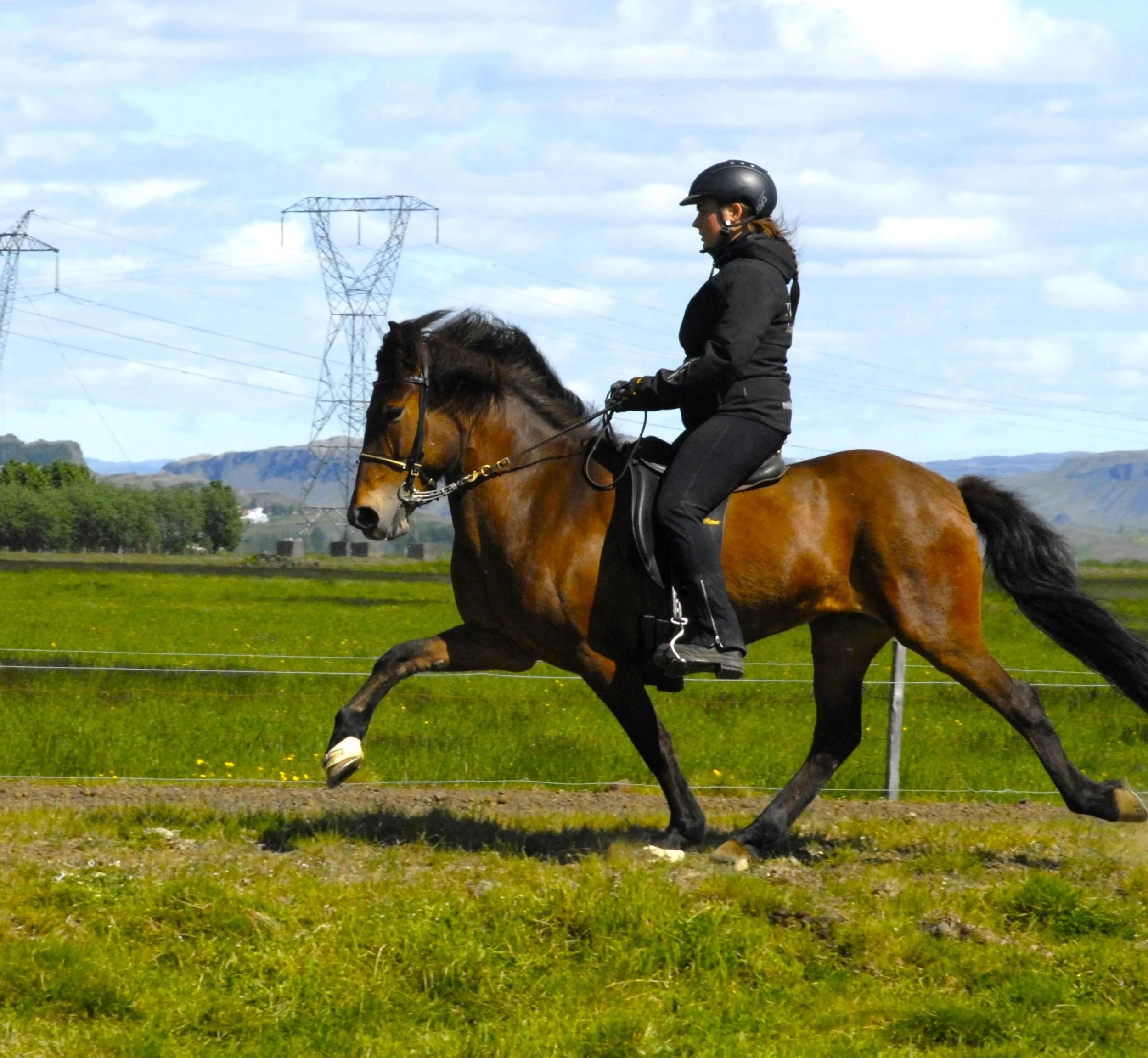 Elin Vidberg riding Trygg