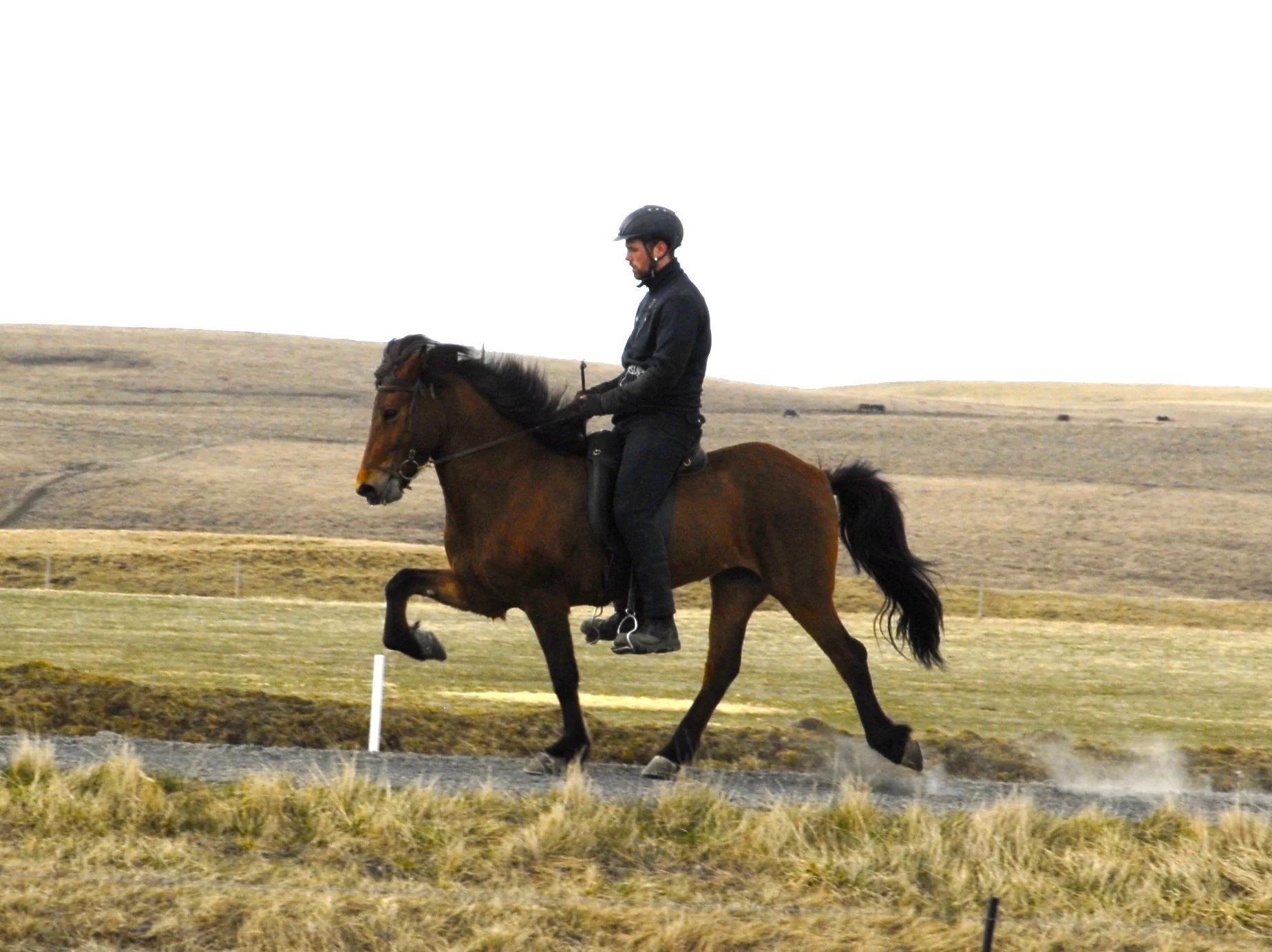 Jóhann K. Ragnarsson riding Hátíð