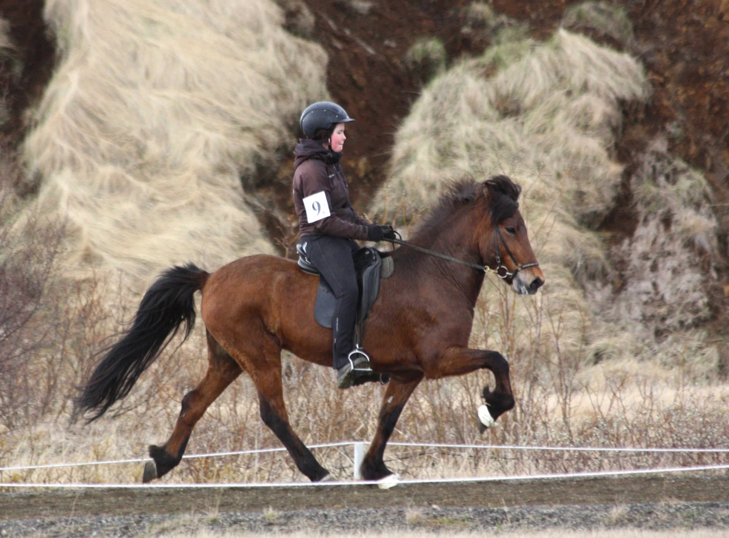 Sigurbjörg Bára riding Hátíð