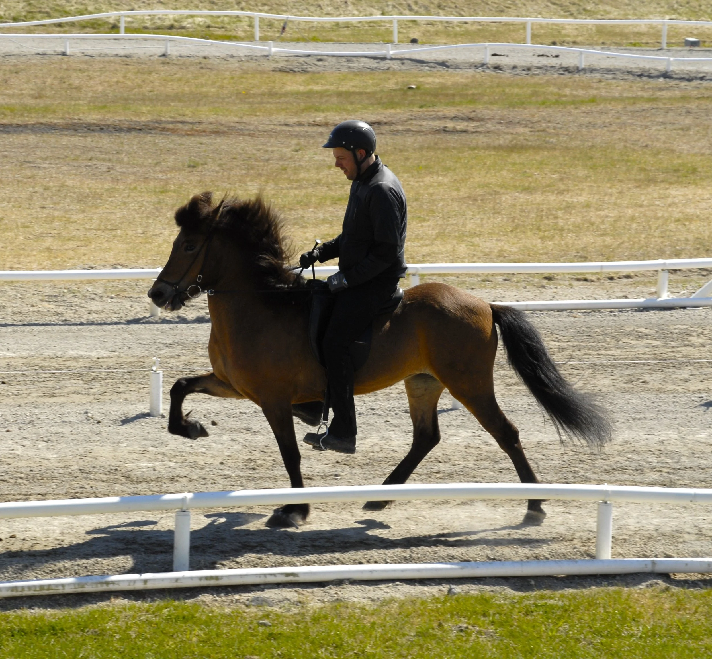 Lipurtá frá Vorsabæ II (7,93)