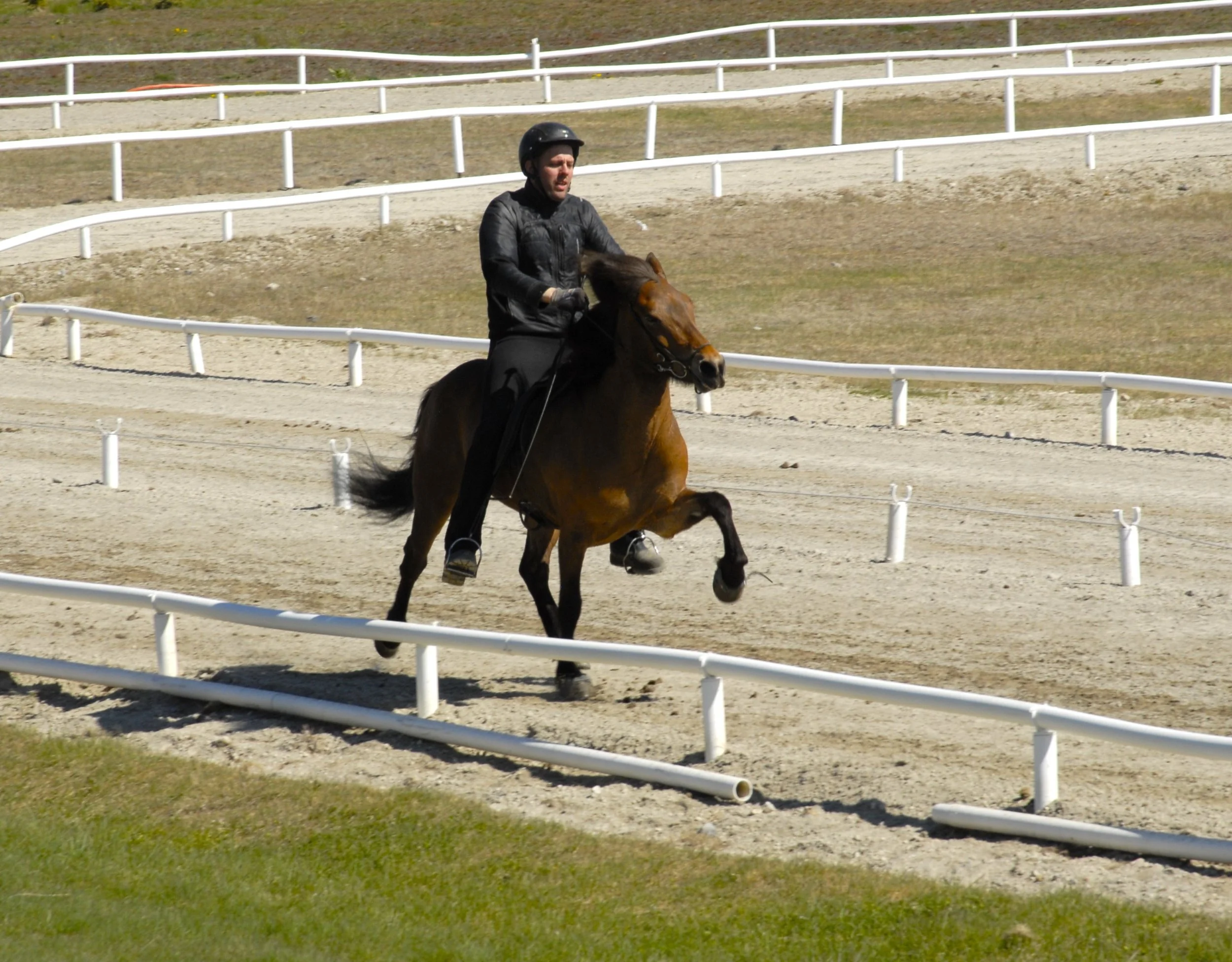 Sigurður Óli Kristinsson riding Lipurtá