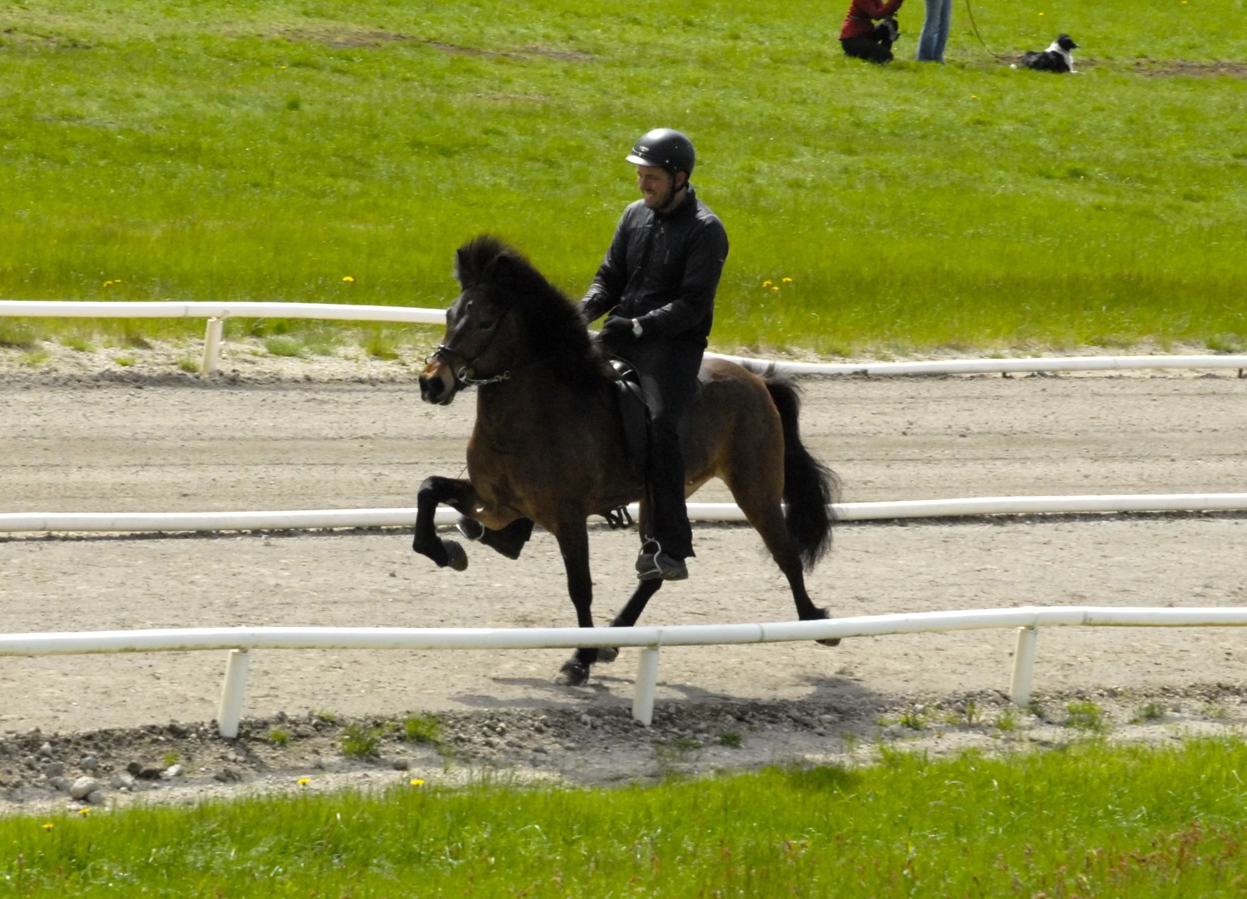 Fjöður frá Vorsabæ II (8,10)