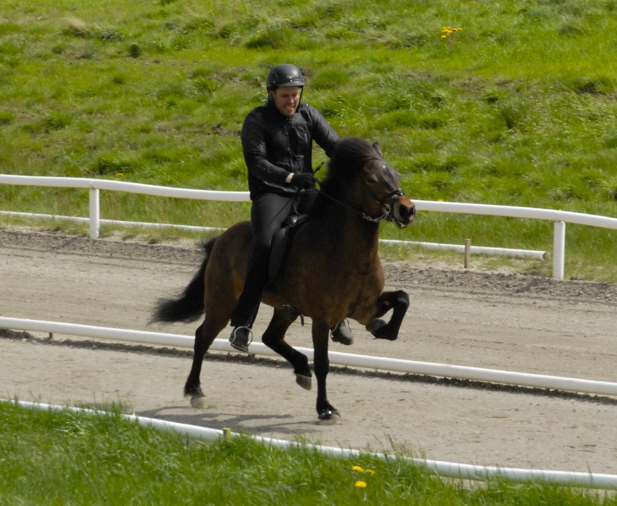 Sigurður Óli Kristinsson riding Fjöður