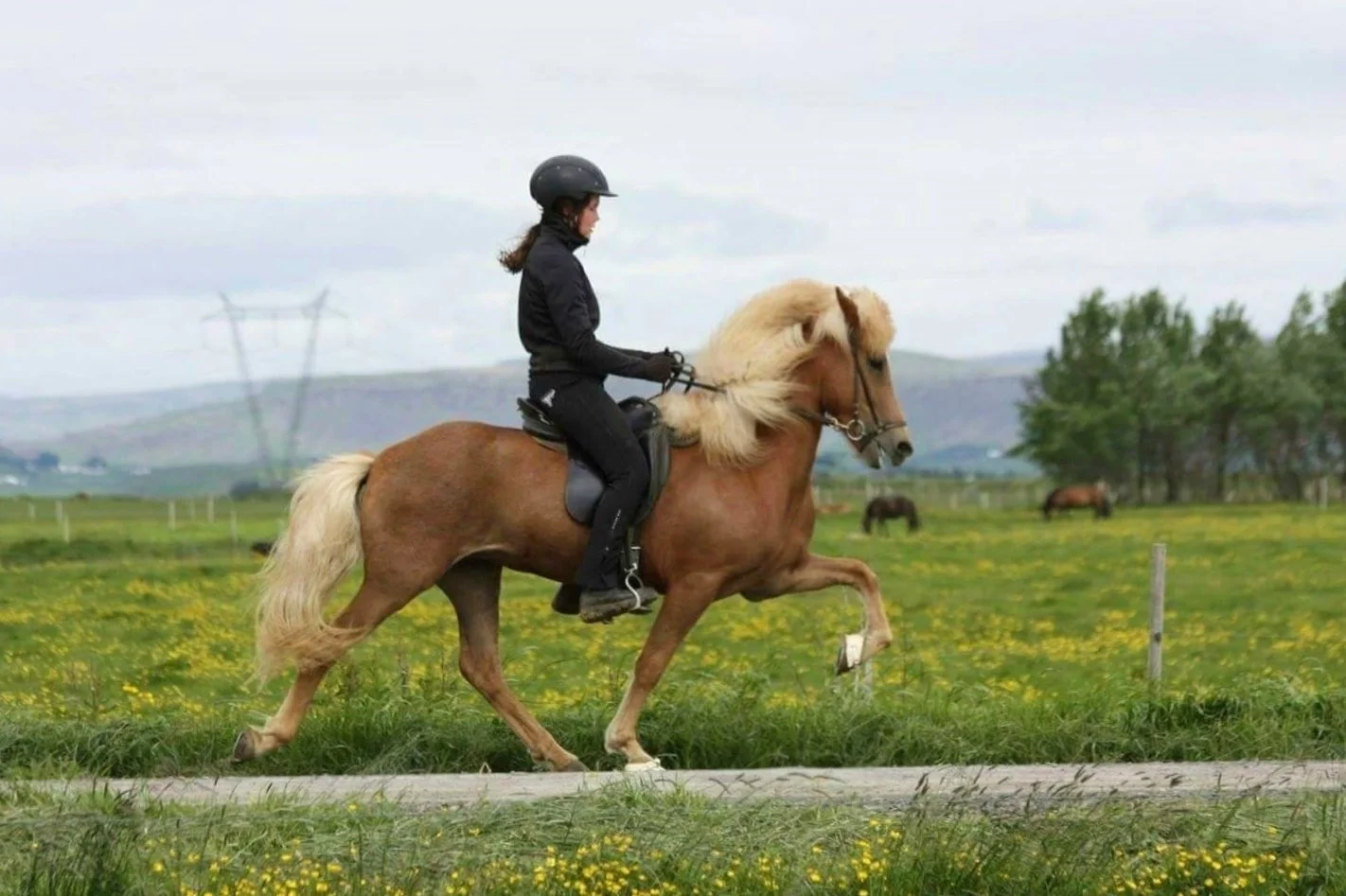 Sigurbjörg Bára riding Mardöll