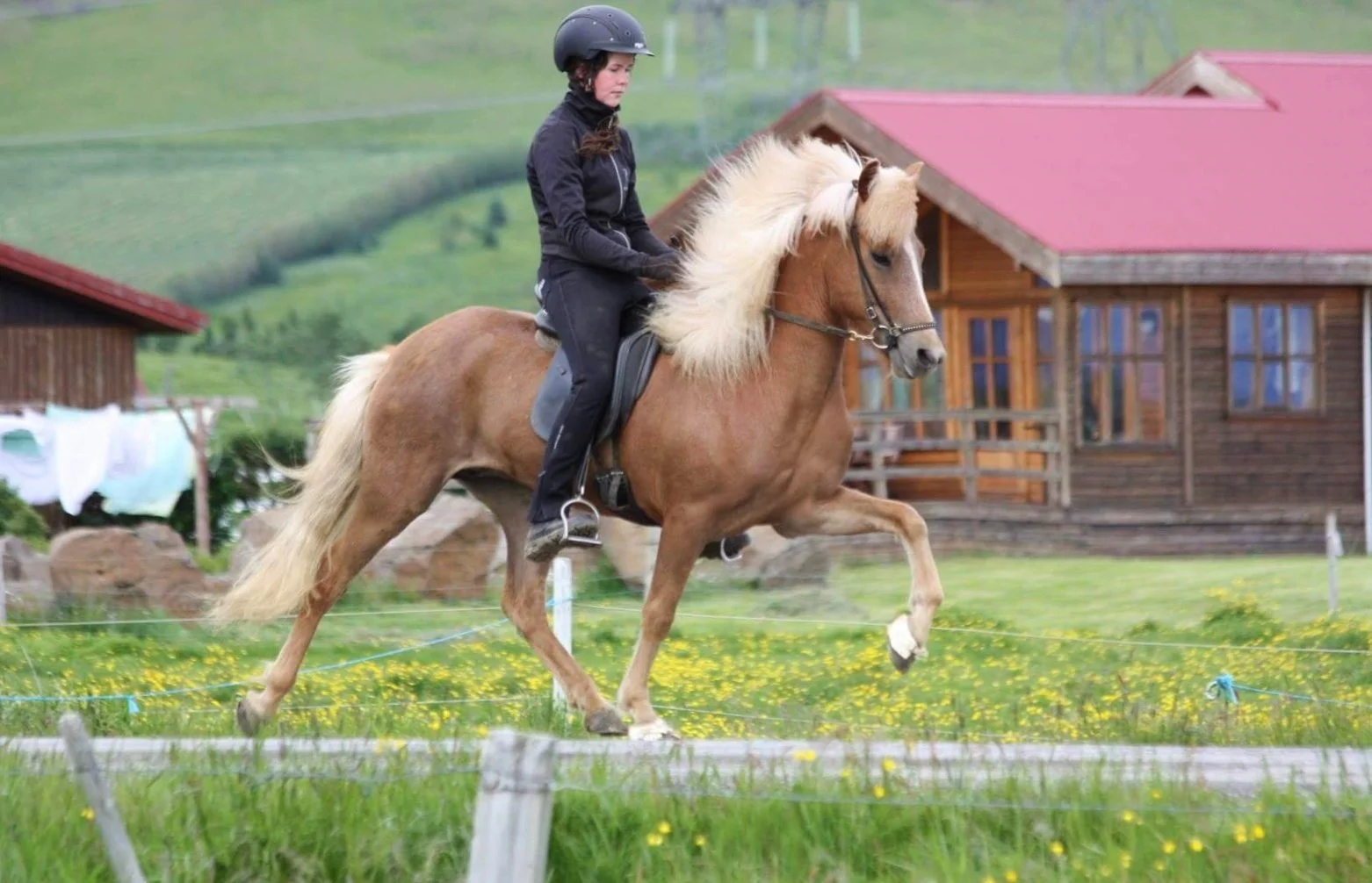 Mardöll frá Vorsabæ II