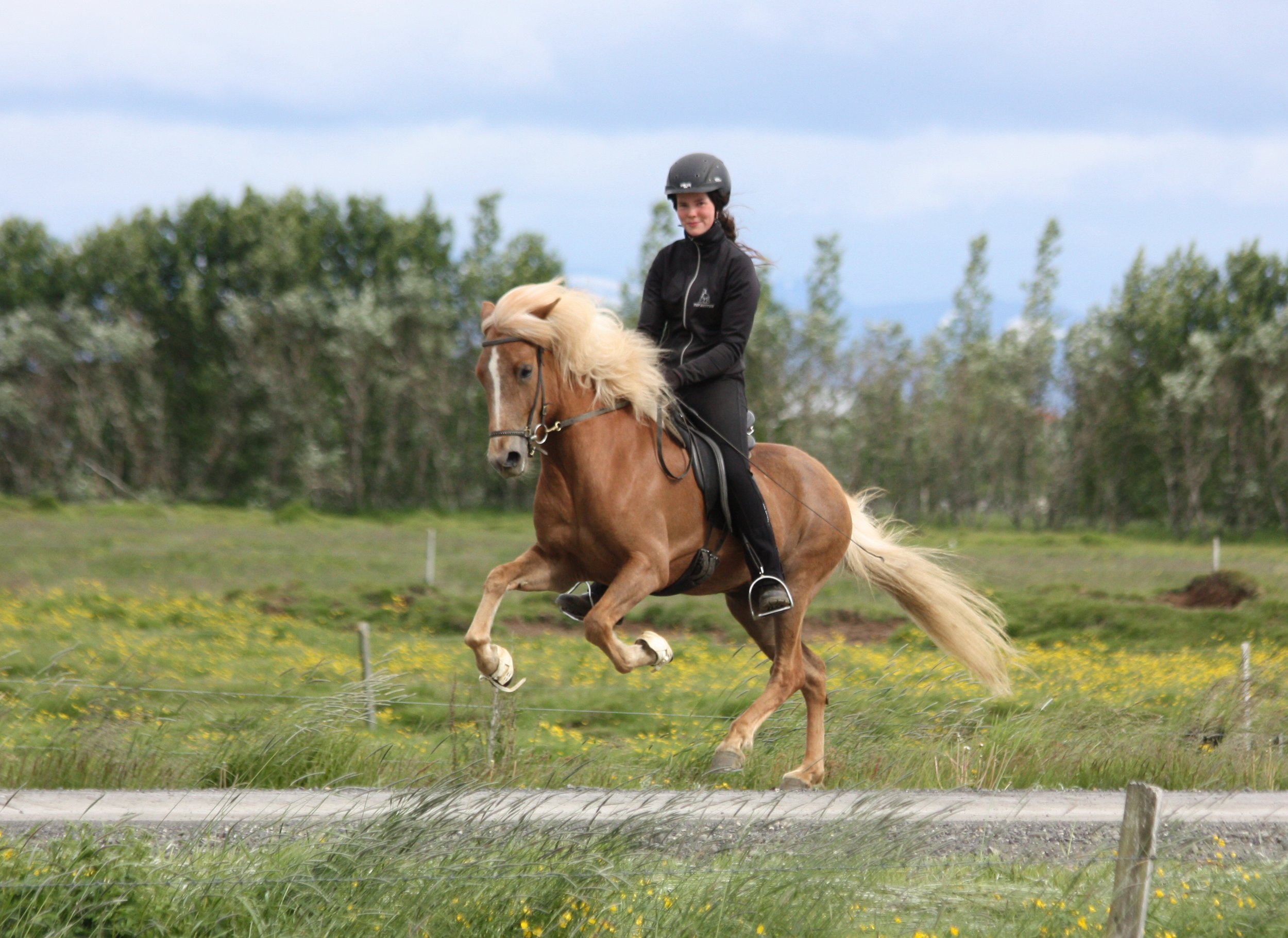 Sigurbjörg Bára riding Mardöll