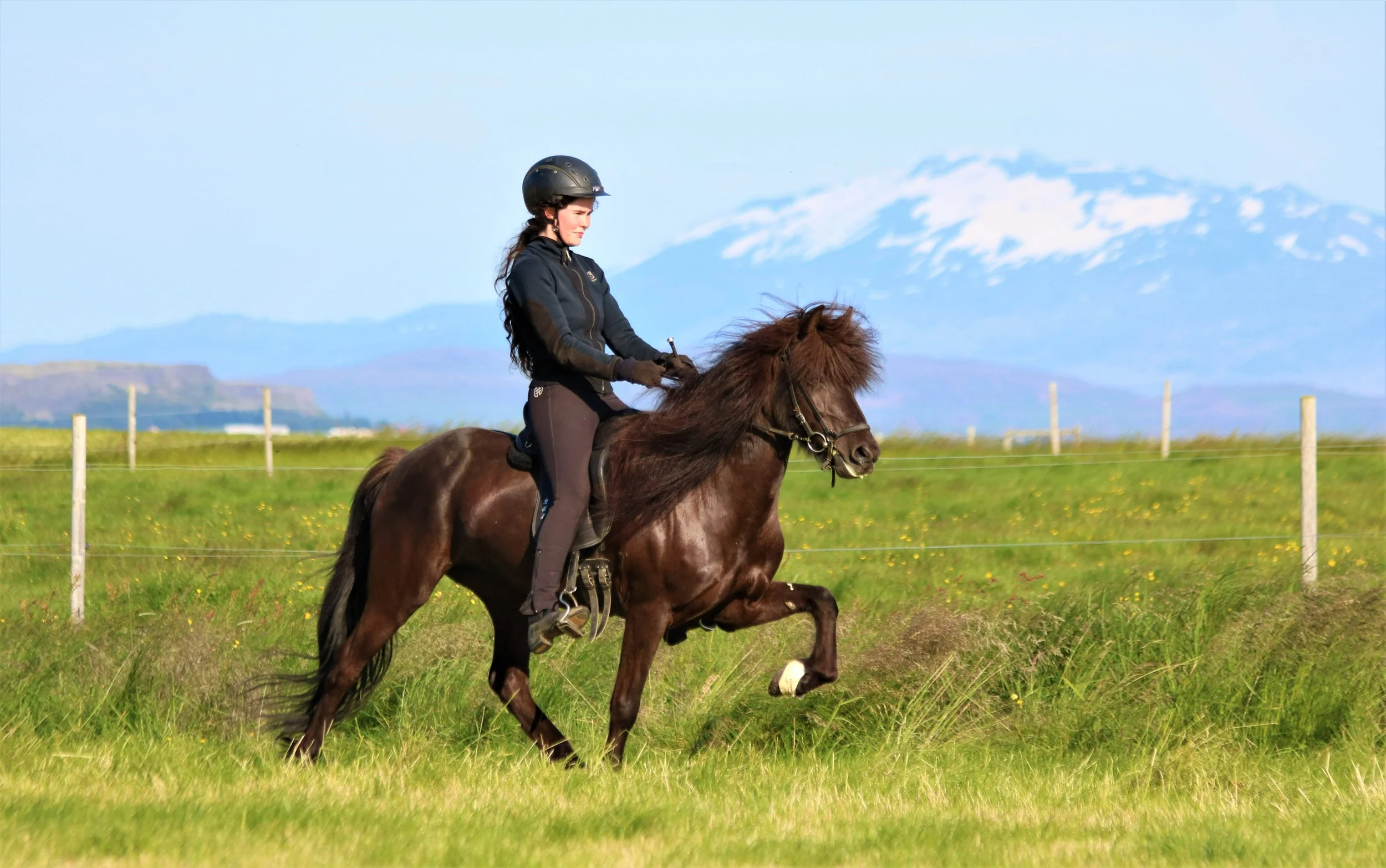 Elja frá Vorsabæ II (8,12)