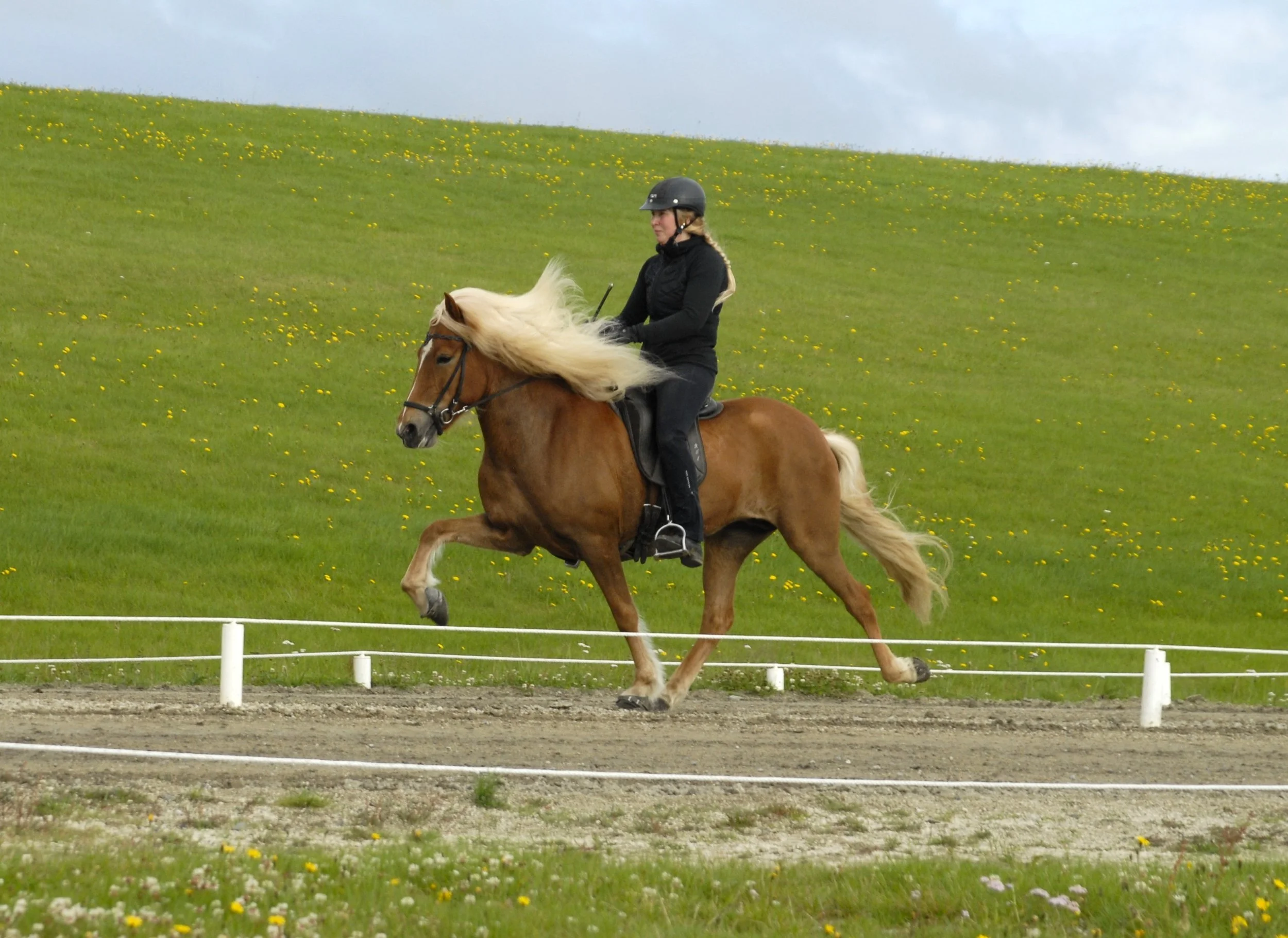 Ósk frá Vorsabæ II (7,92)