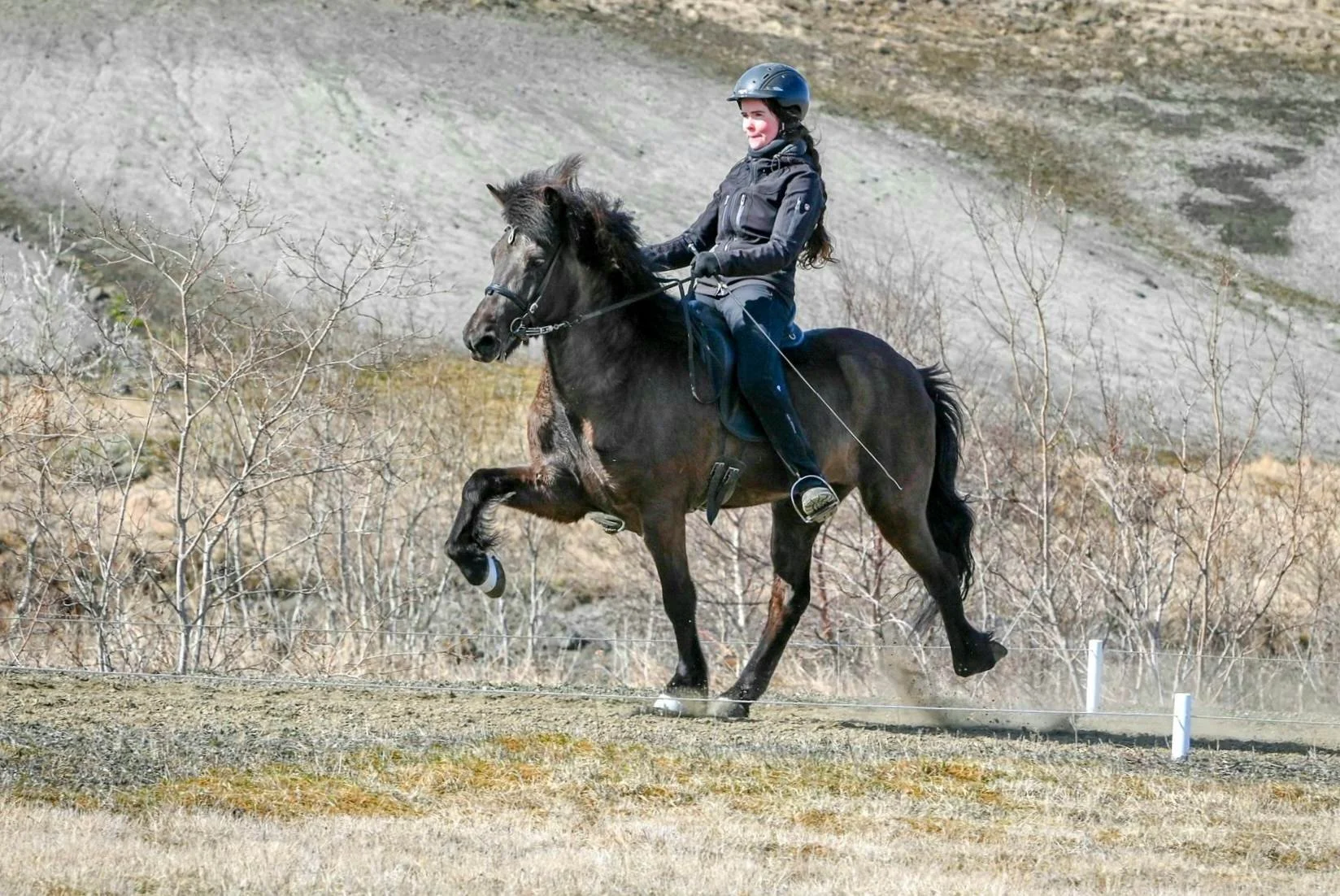 Dásemd frá Vorsabæ II (8,04)